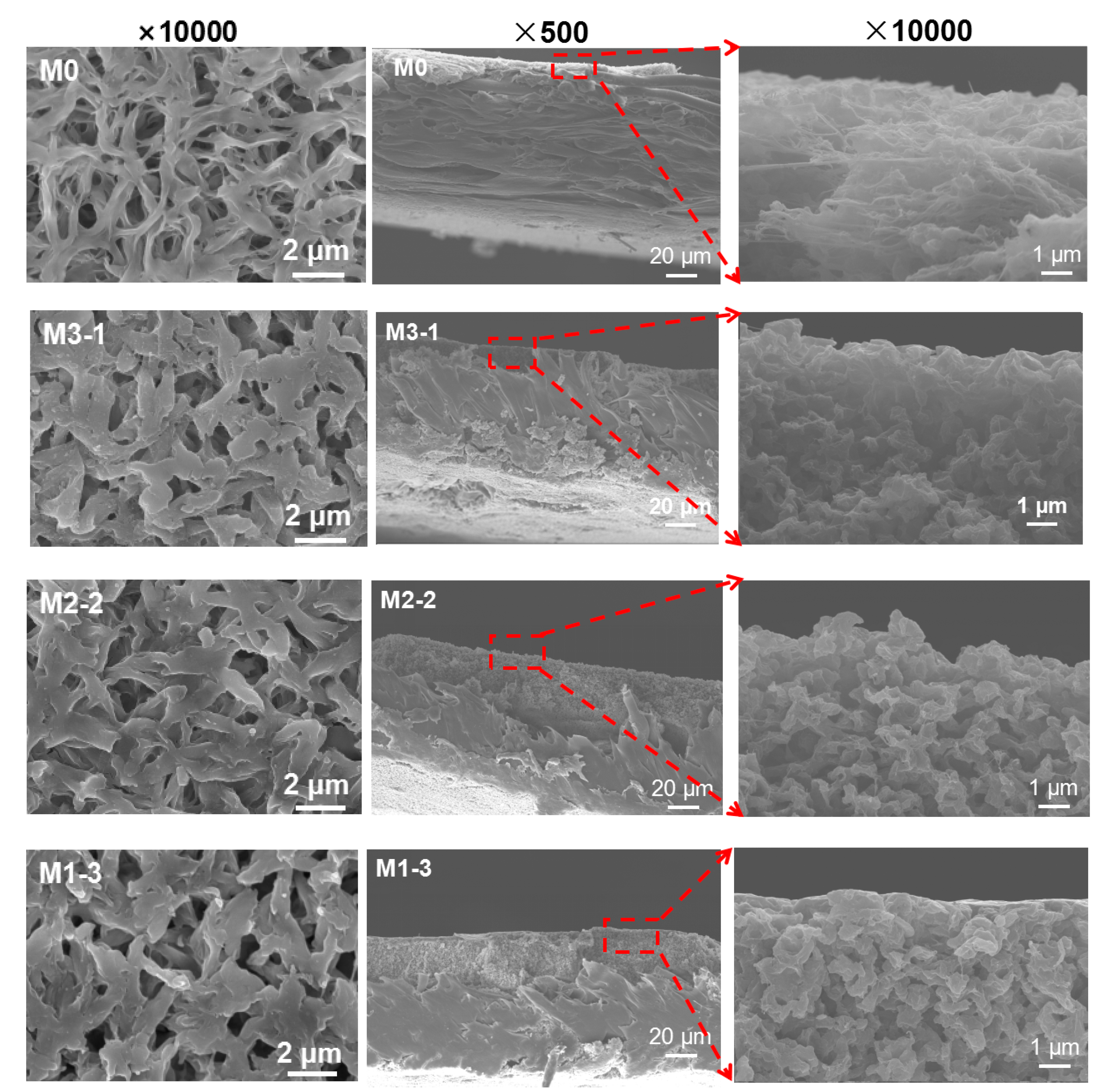 Membranes 11 00761 g004