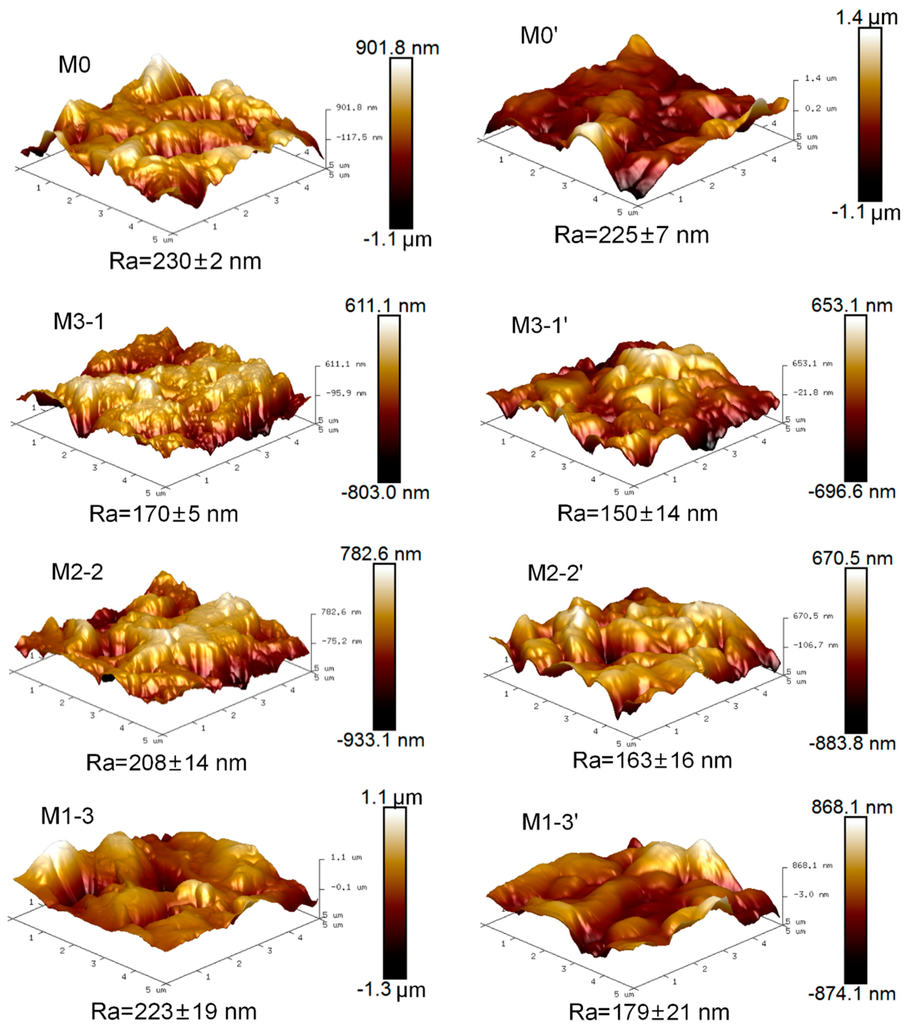 Membranes 11 00761 g005