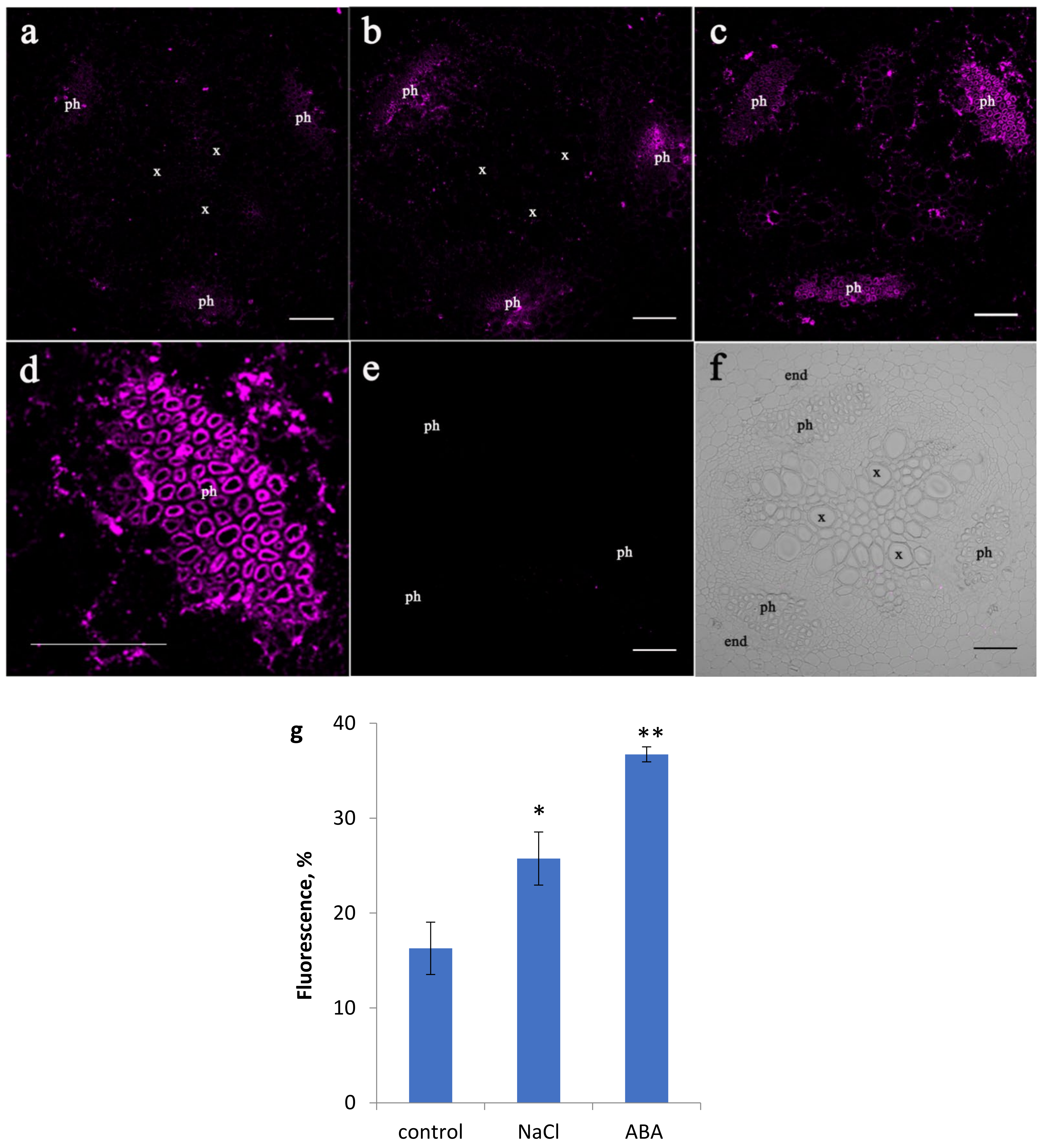 Membranes 11 00762 g001 Membranes 11 00762 g001