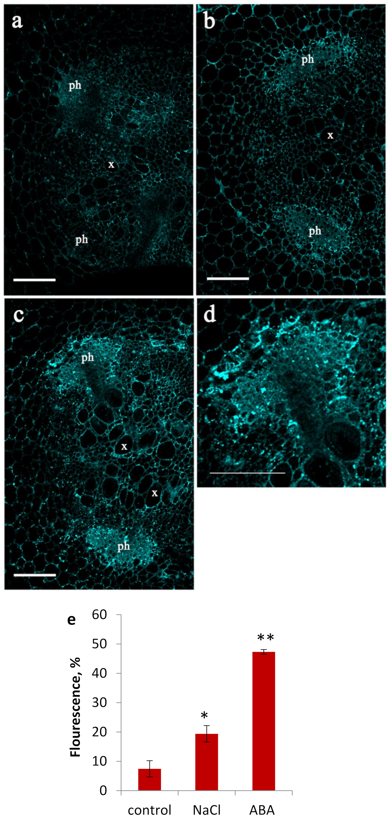 Membranes 11 00762 g002 Membranes 11 00762 g002