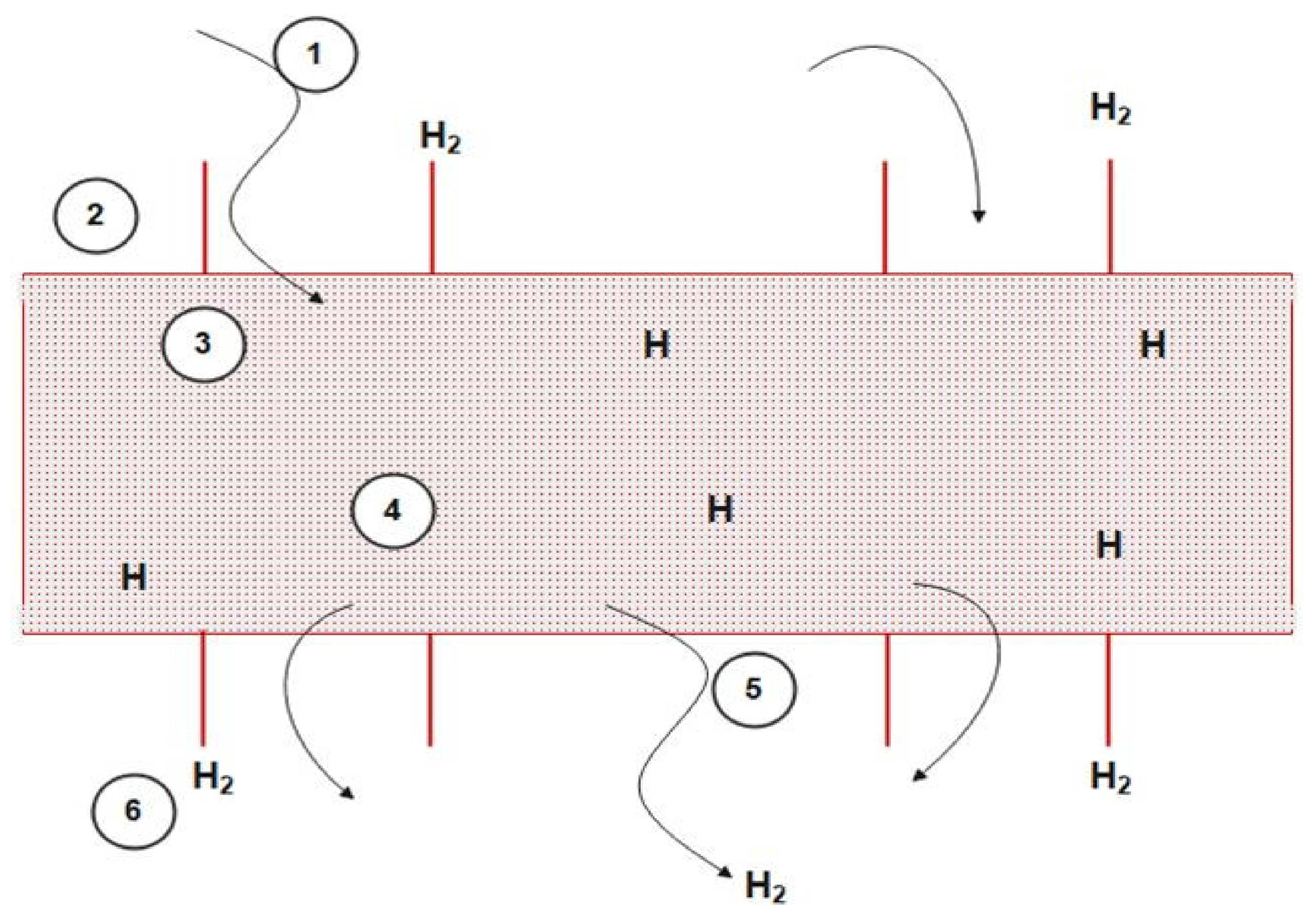 Membranes 11 00765 g003