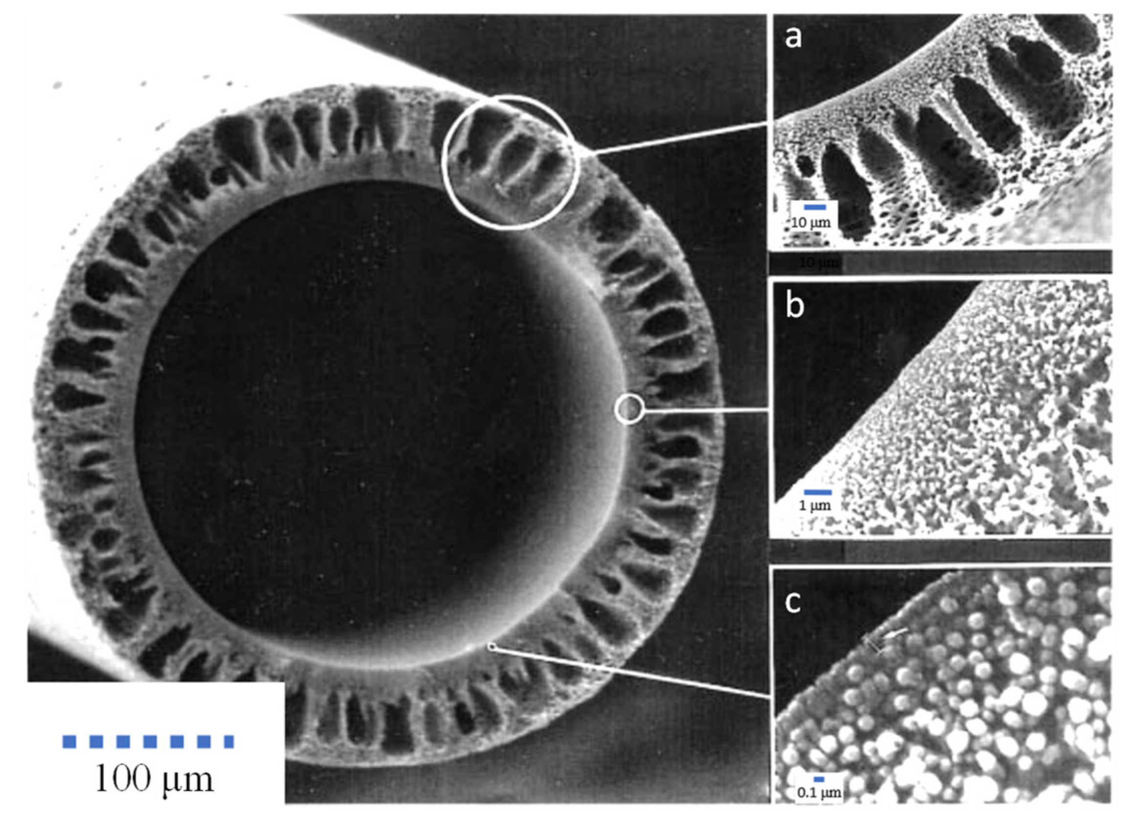 Membranes 11 00767 g002