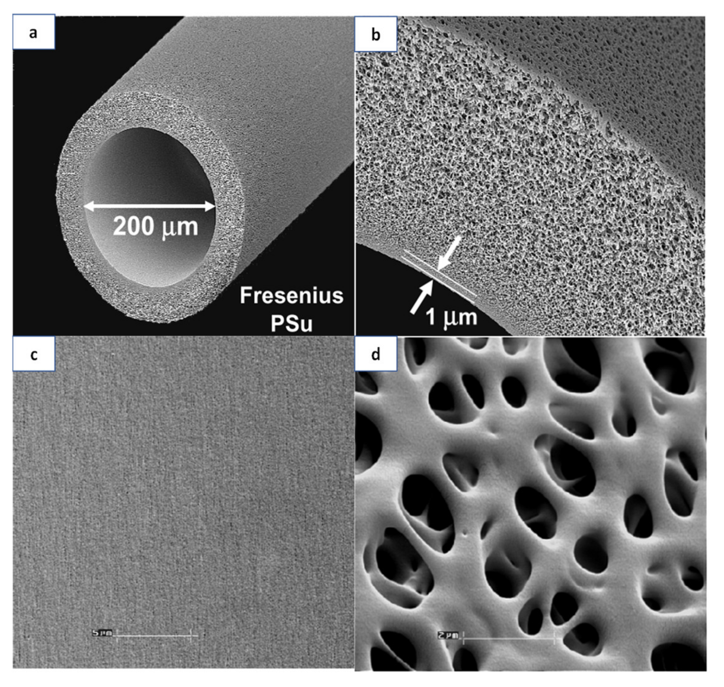 Membranes 11 00767 g003