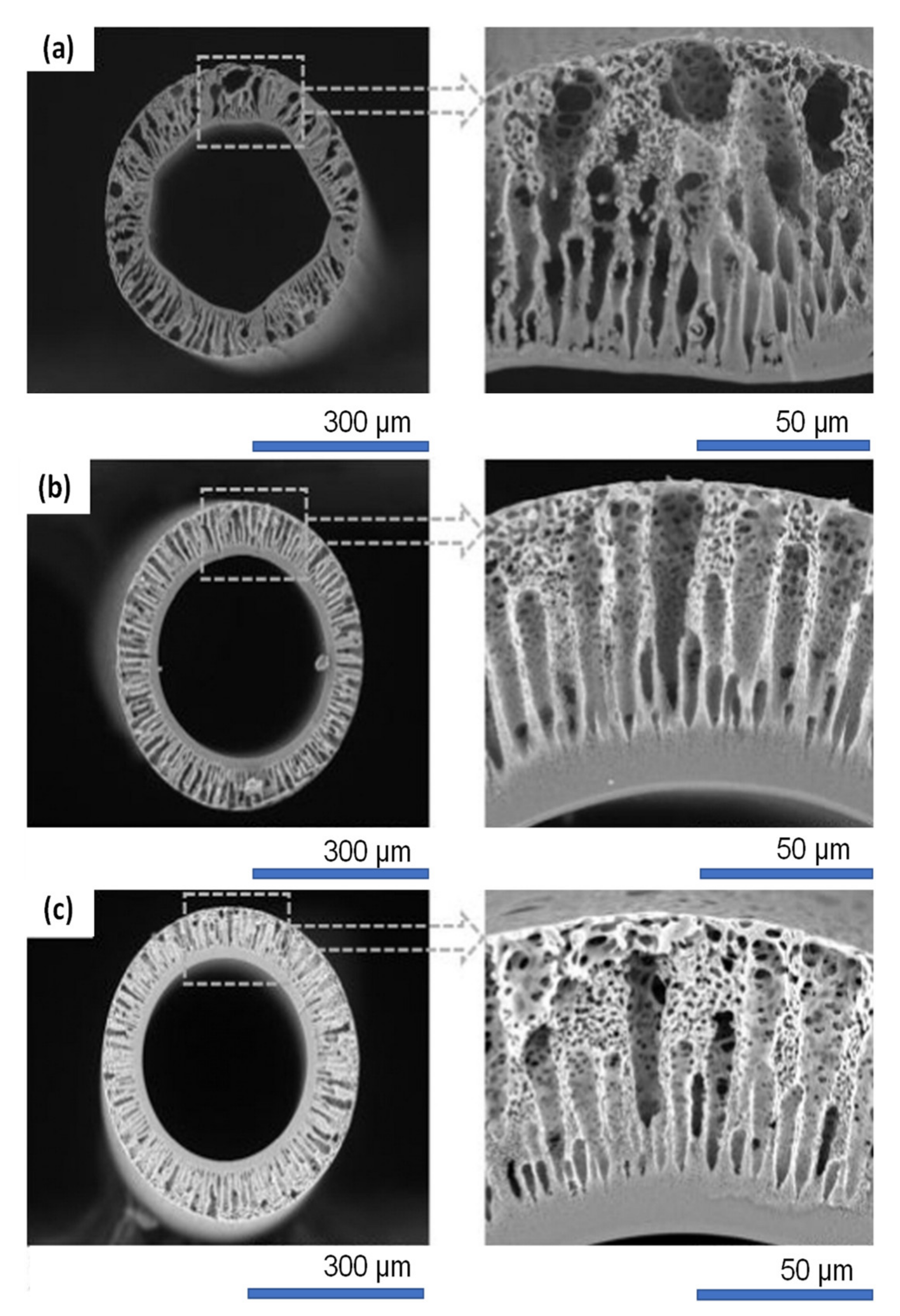 Membranes 11 00767 g006