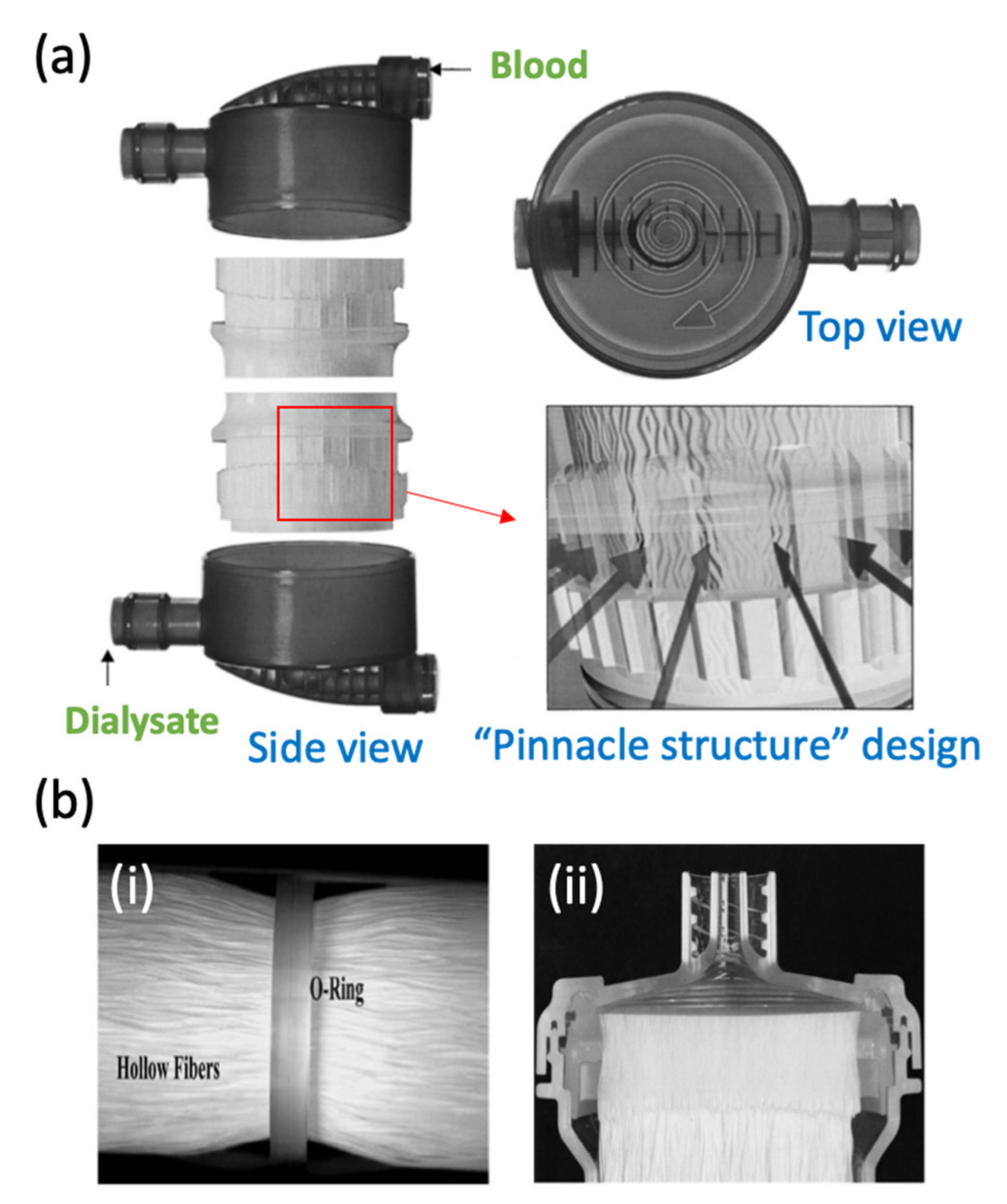 Membranes 11 00767 g008