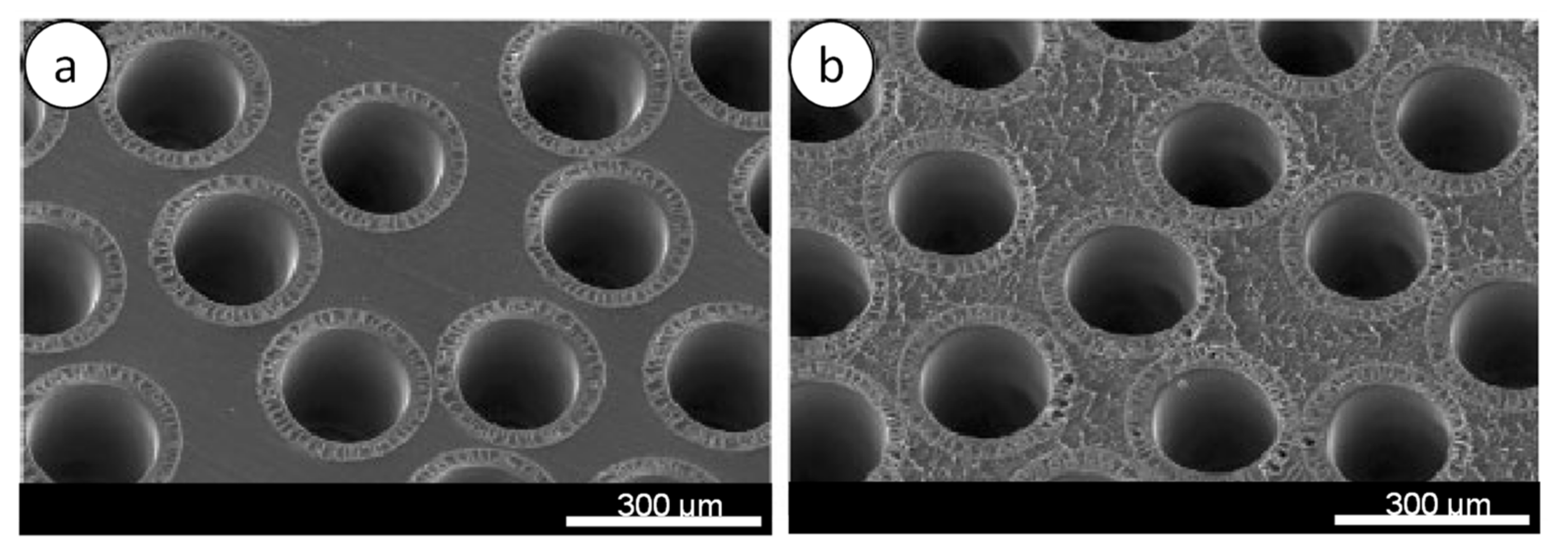 Membranes 11 00767 g009