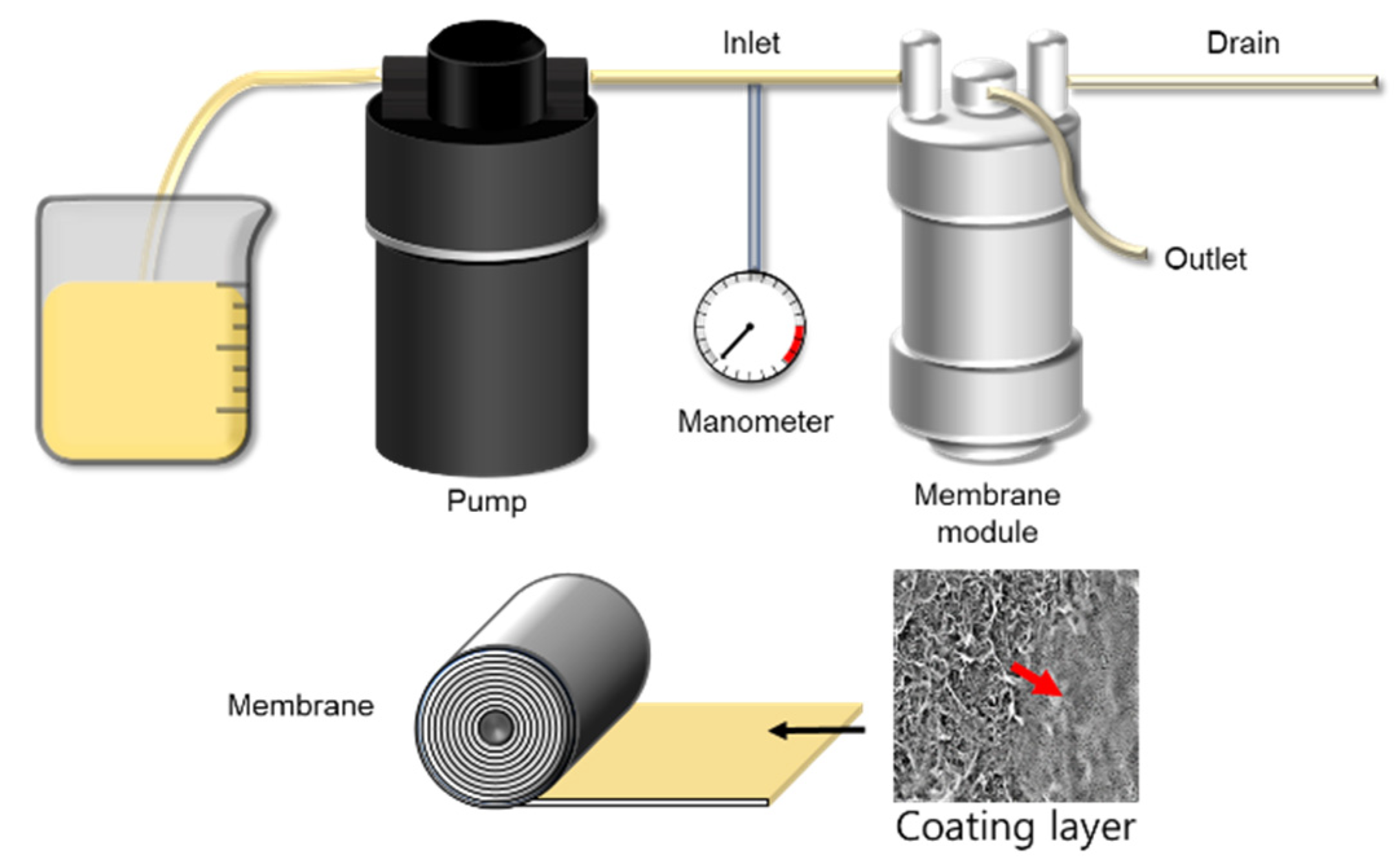 Membranes 11 00769 g002 550