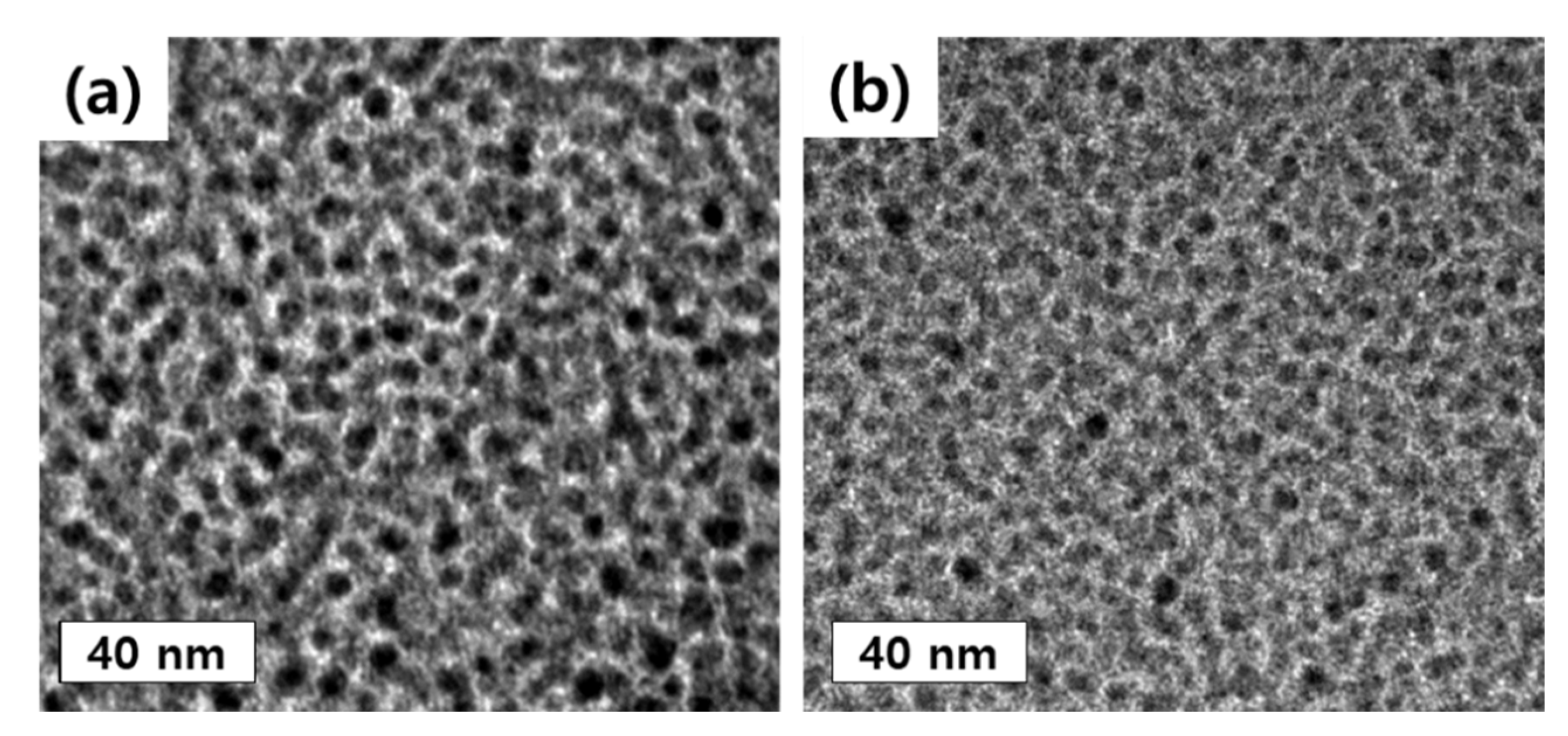 Membranes 11 00769 g006 550