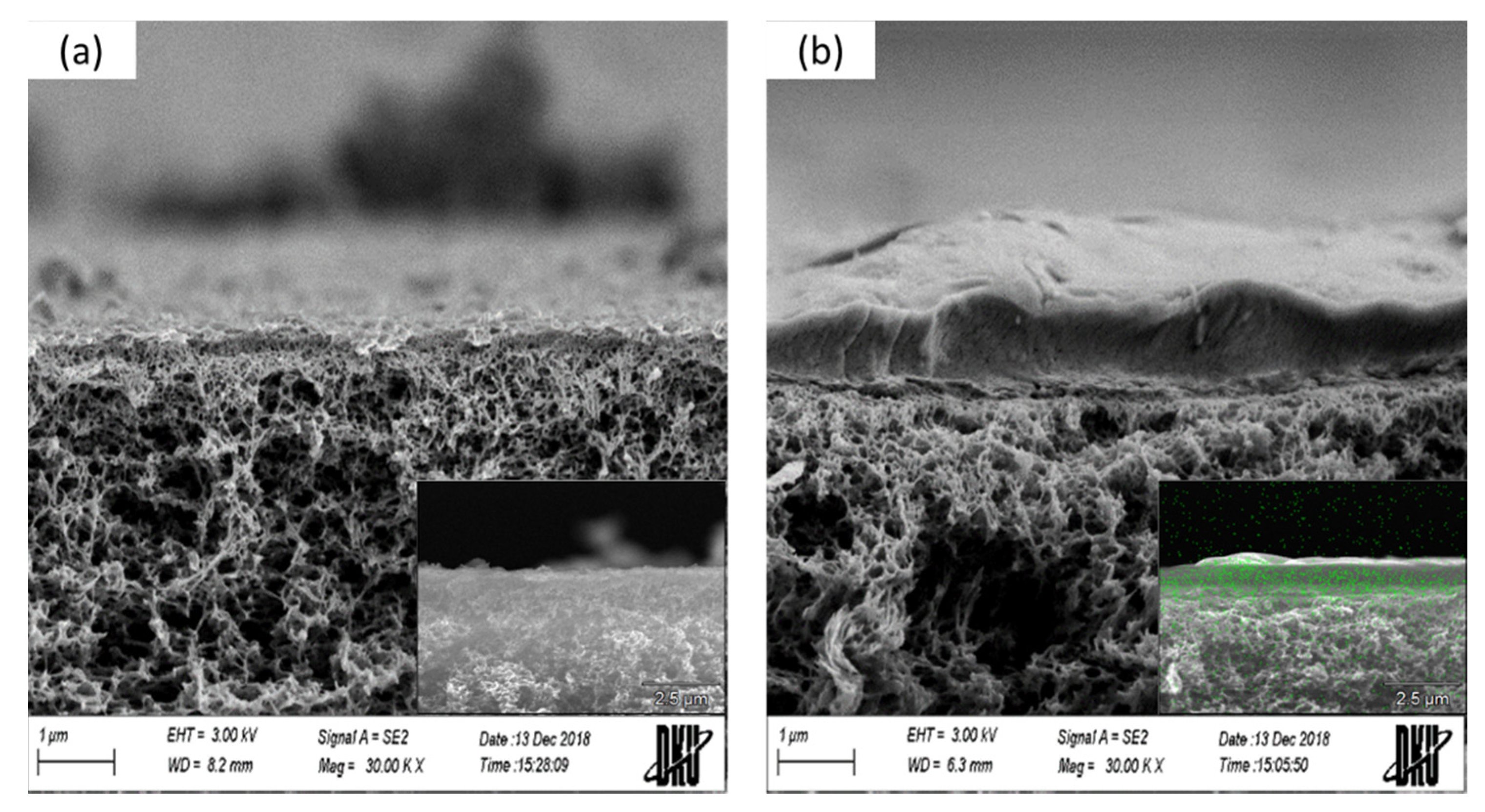 Membranes 11 00769 g008 550