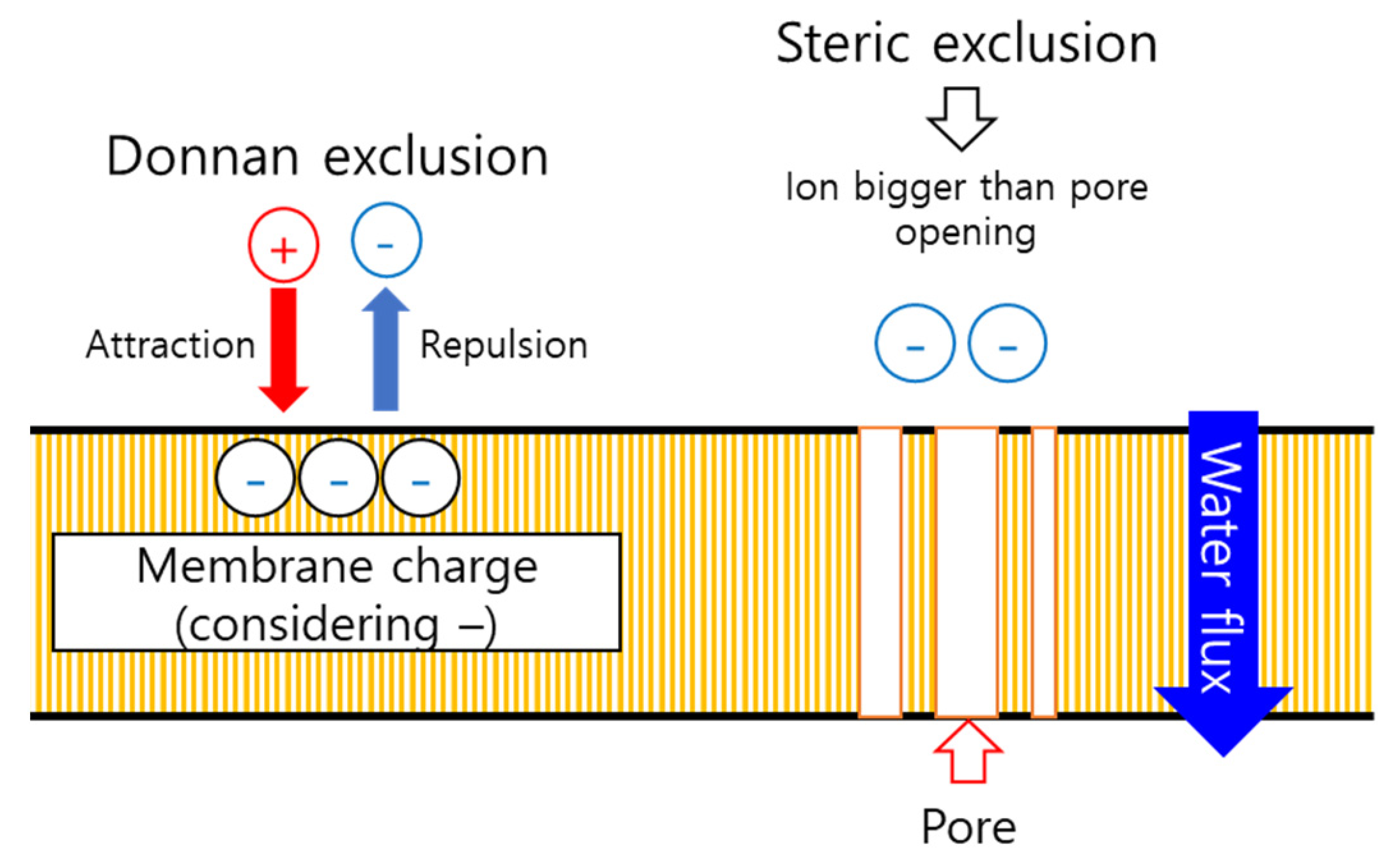 Membranes 11 00769 g010 550