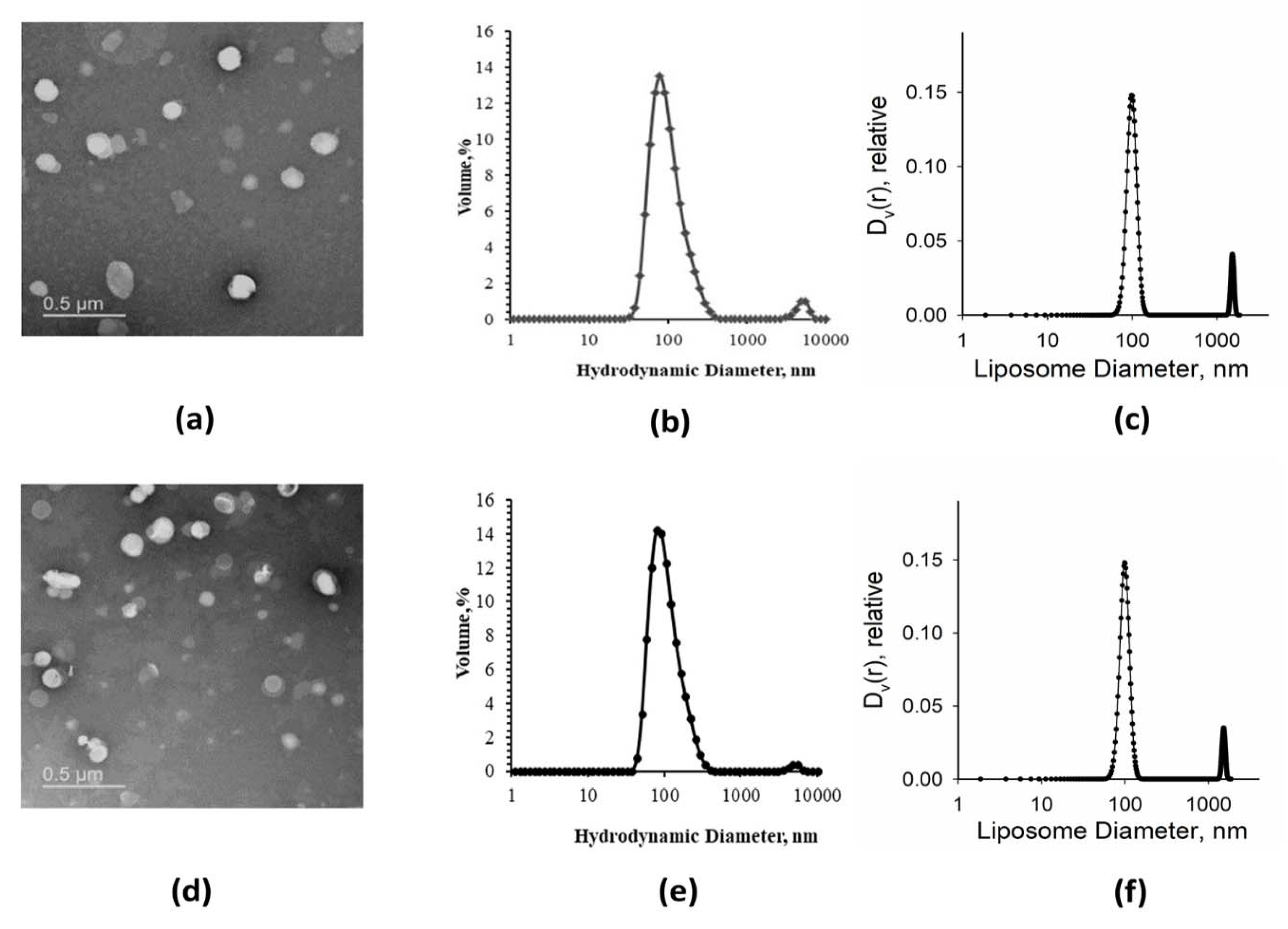 Membranes 11 00772 g002 Membranes 11 00772 g002