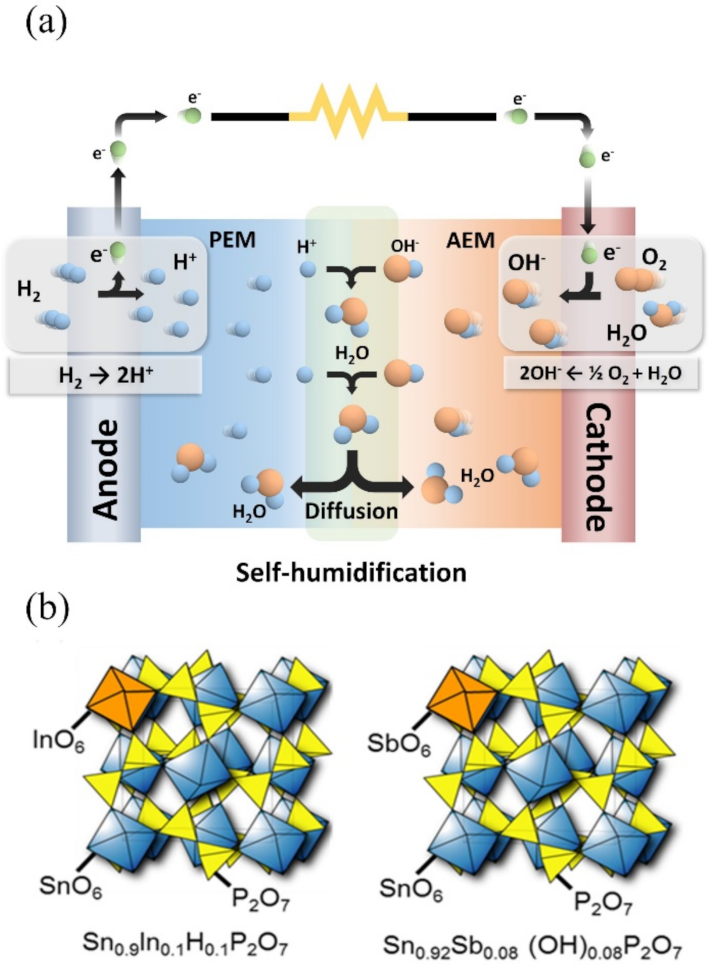 Membranes 11 00776 g001