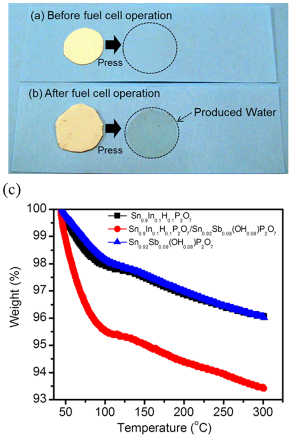 Membranes 11 00776 g003