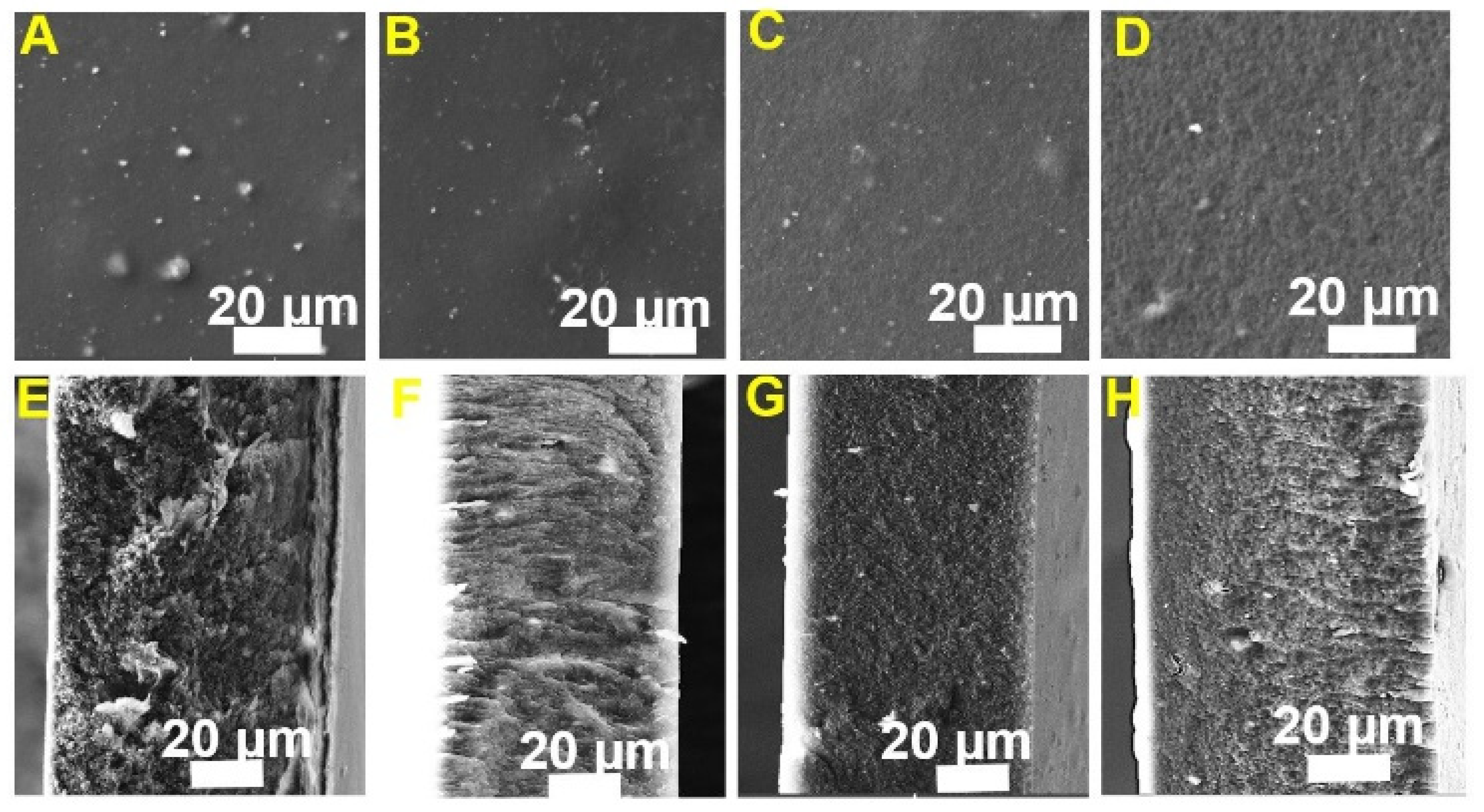 Membranes 11 00777 g002