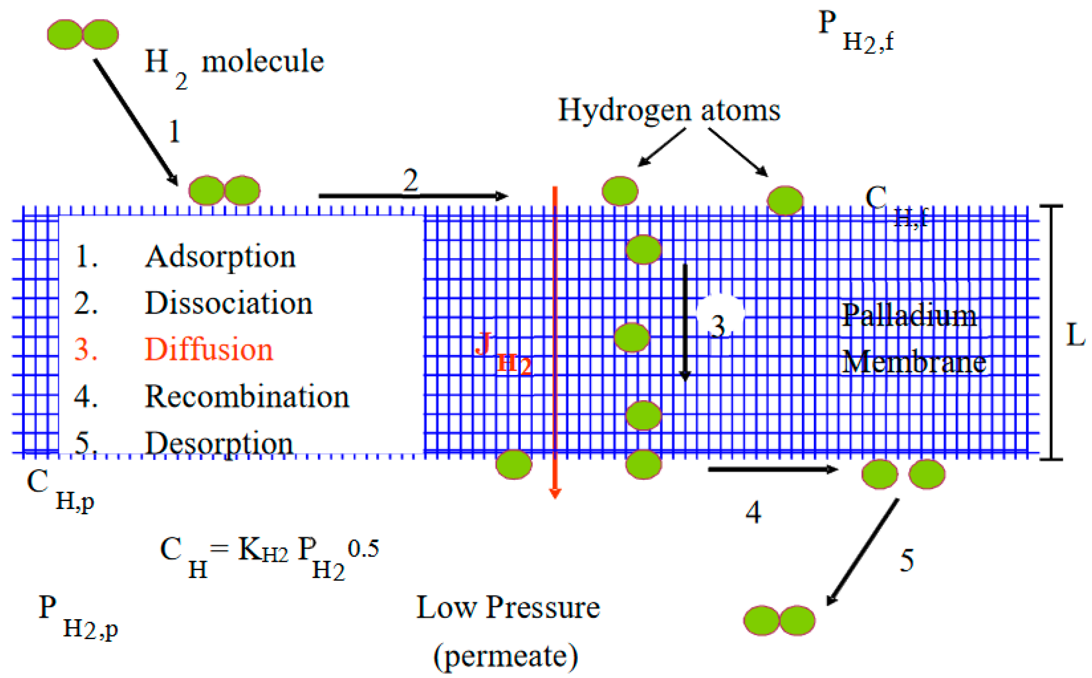 Membranes 11 00778 g002 550