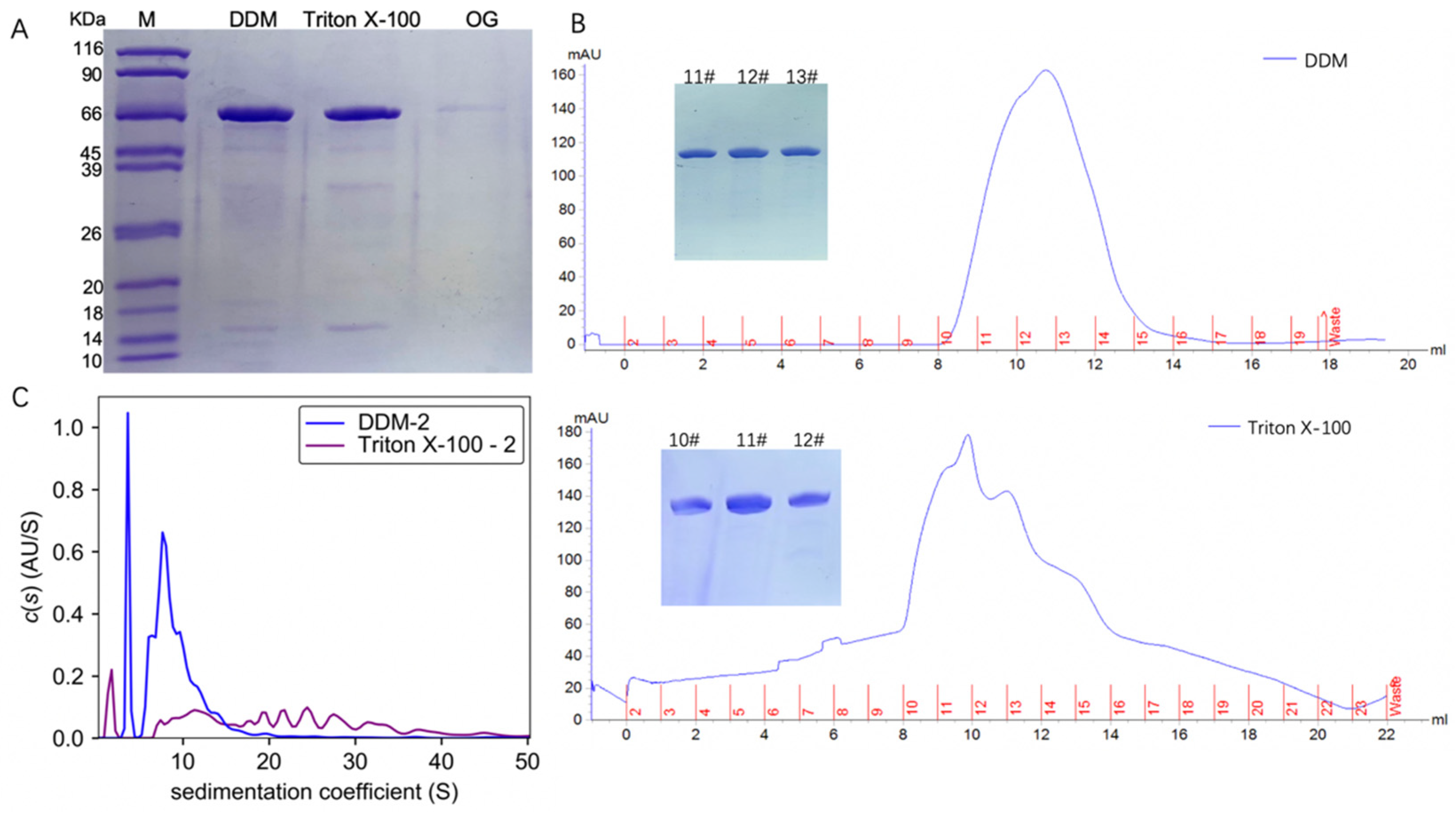 Membranes Free FullText Optimization of Membrane Protein TmrA