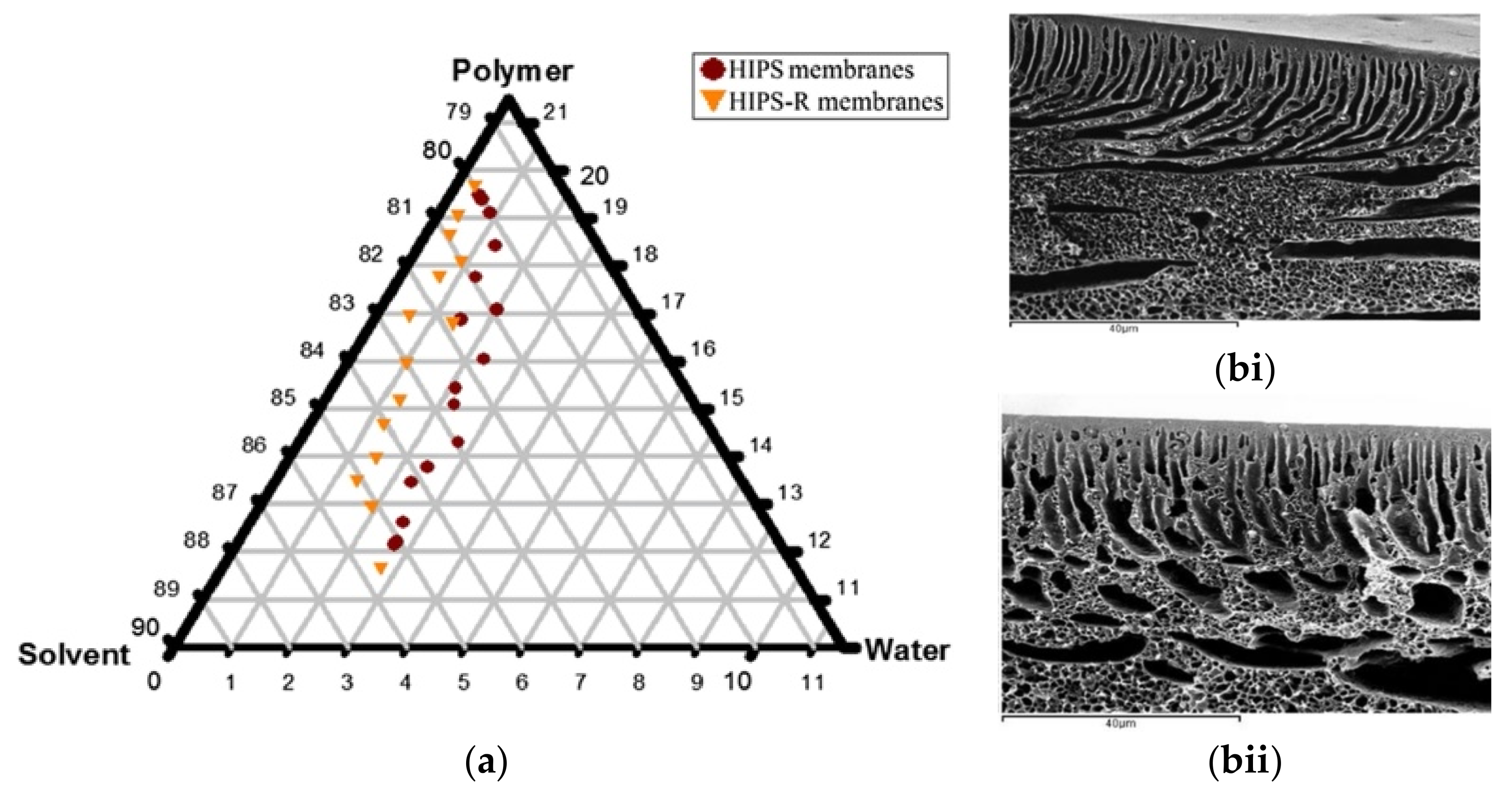 Membranes 11 00782 g006 550