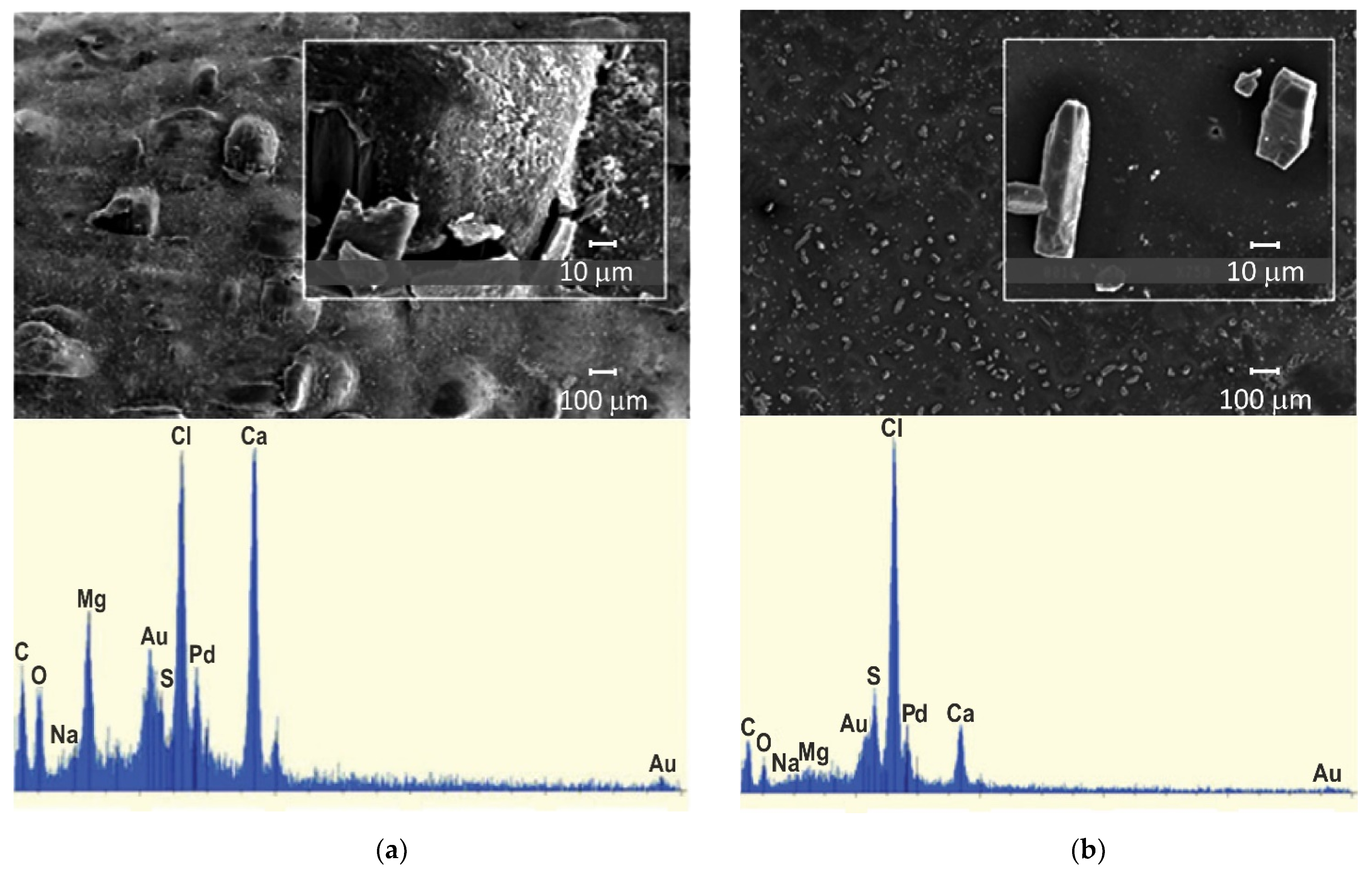 Membranes 11 00789 g003
