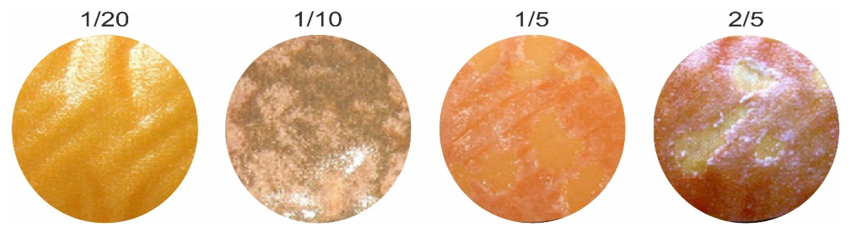 Membranes 11 00789 g004