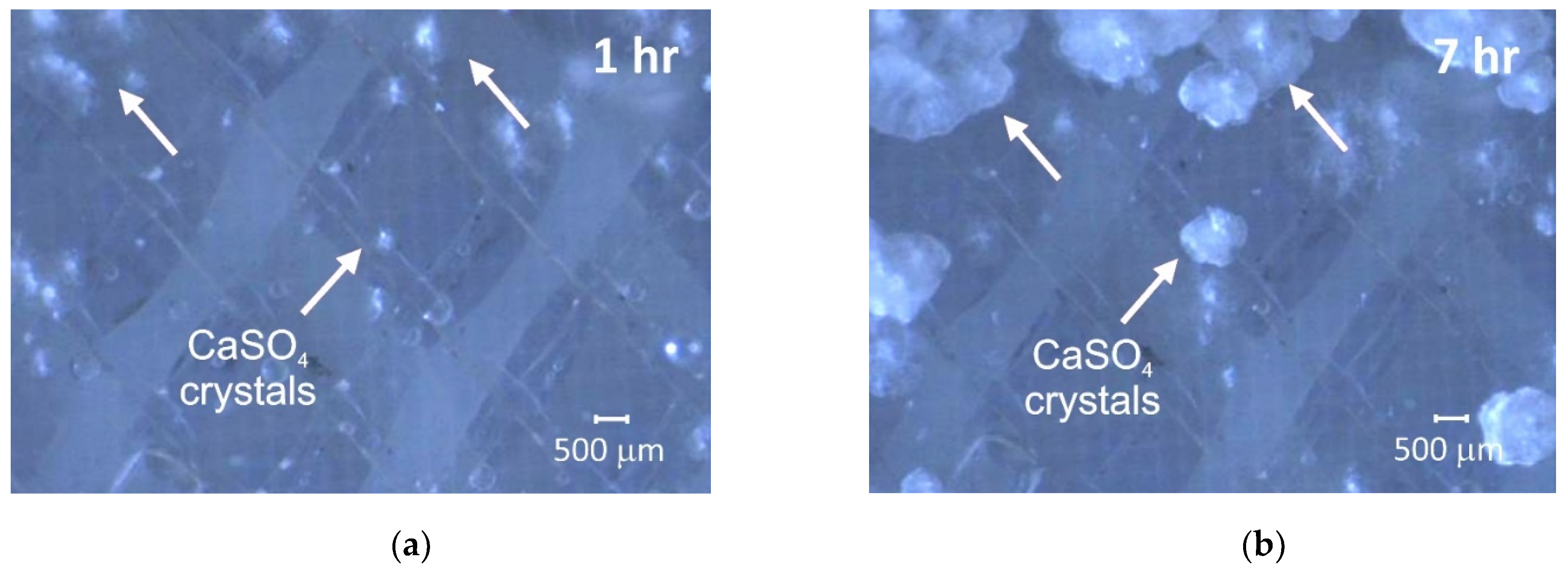 Membranes 11 00789 g005