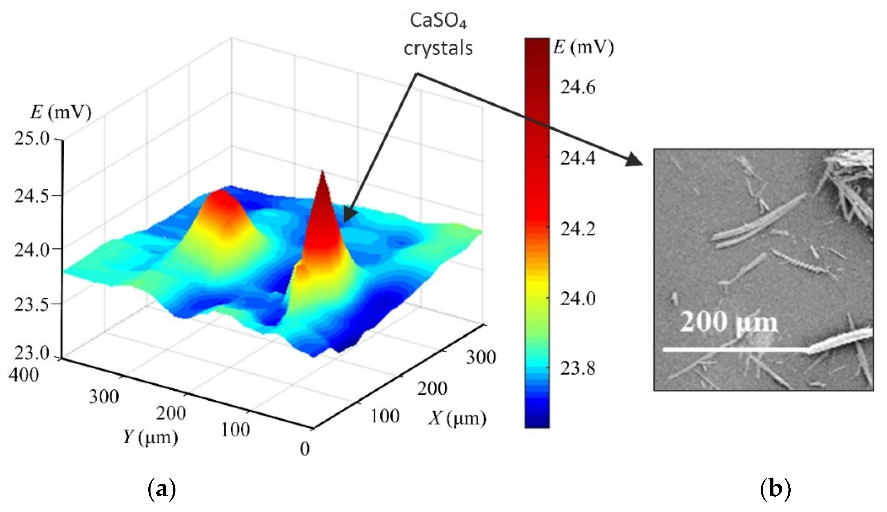 Membranes 11 00789 g007
