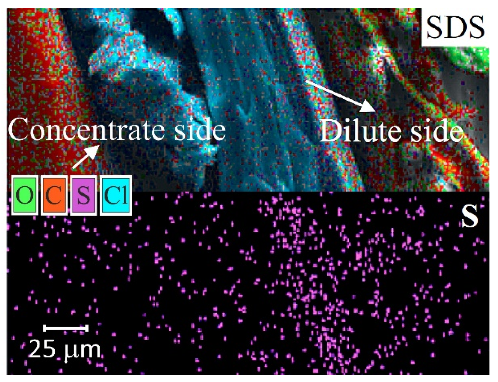 Membranes 11 00789 g008