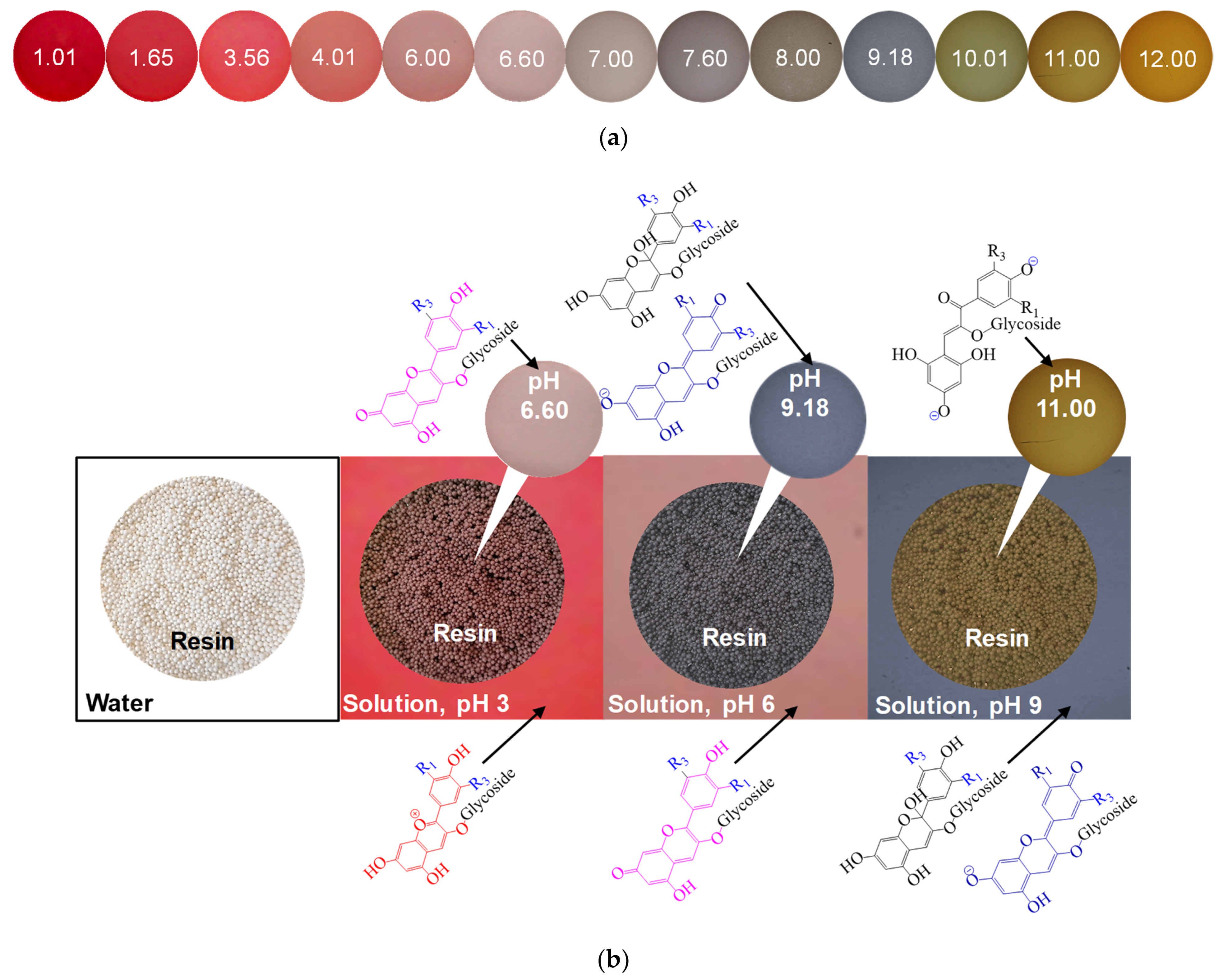 Membranes 11 00789 g012