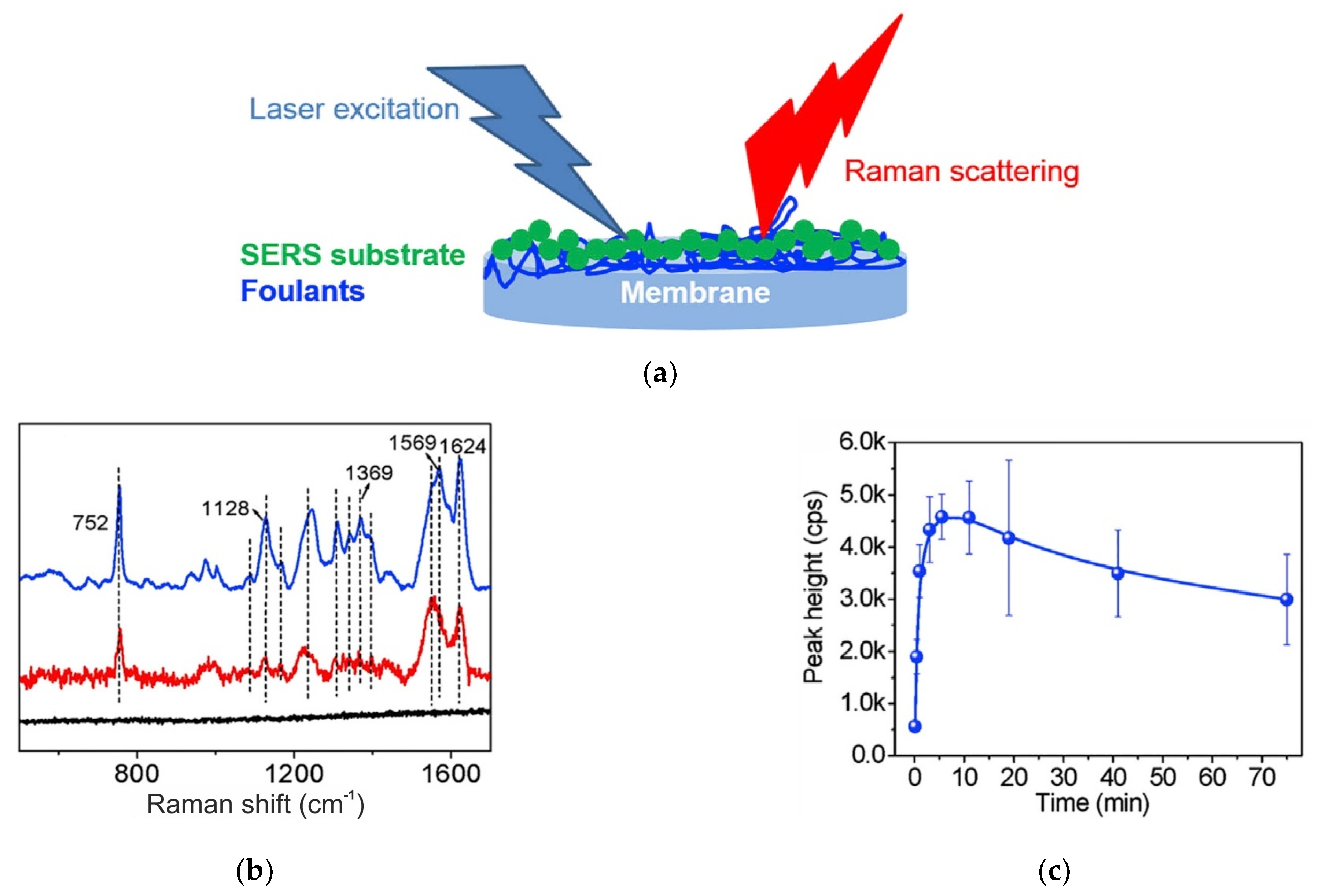 Membranes Free Full Text A Review On Ion Exchange Membrane Fouling During The Electrodialysis Process In The Food Industry Part 1 Types Effects Characterization Methods Fouling Mechanisms And Interactions Html