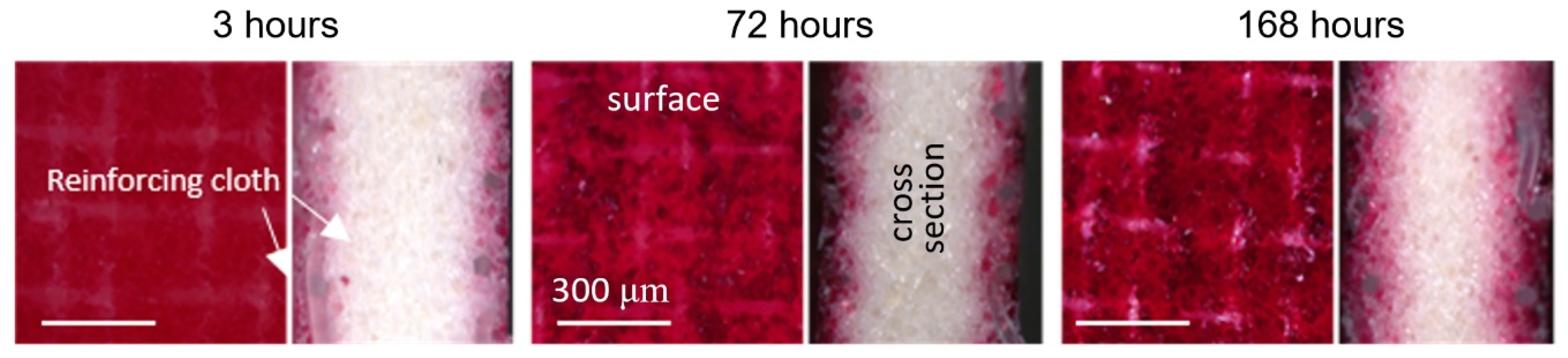 Membranes 11 00789 g019