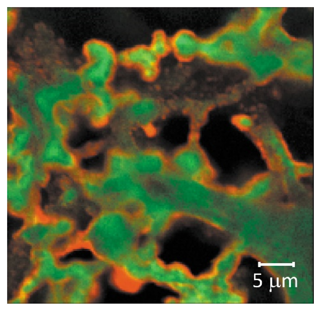 Membranes 11 00789 g020