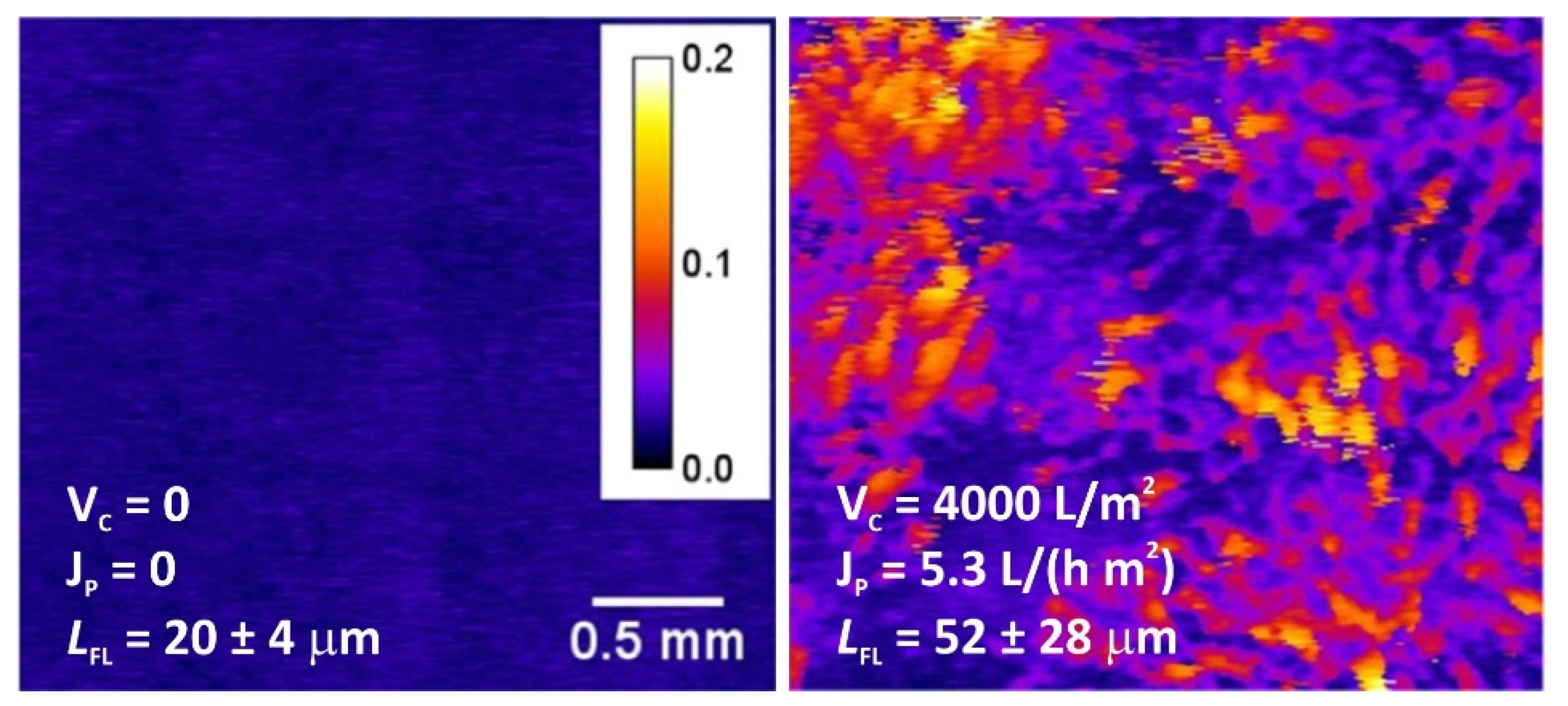 Membranes 11 00789 g021