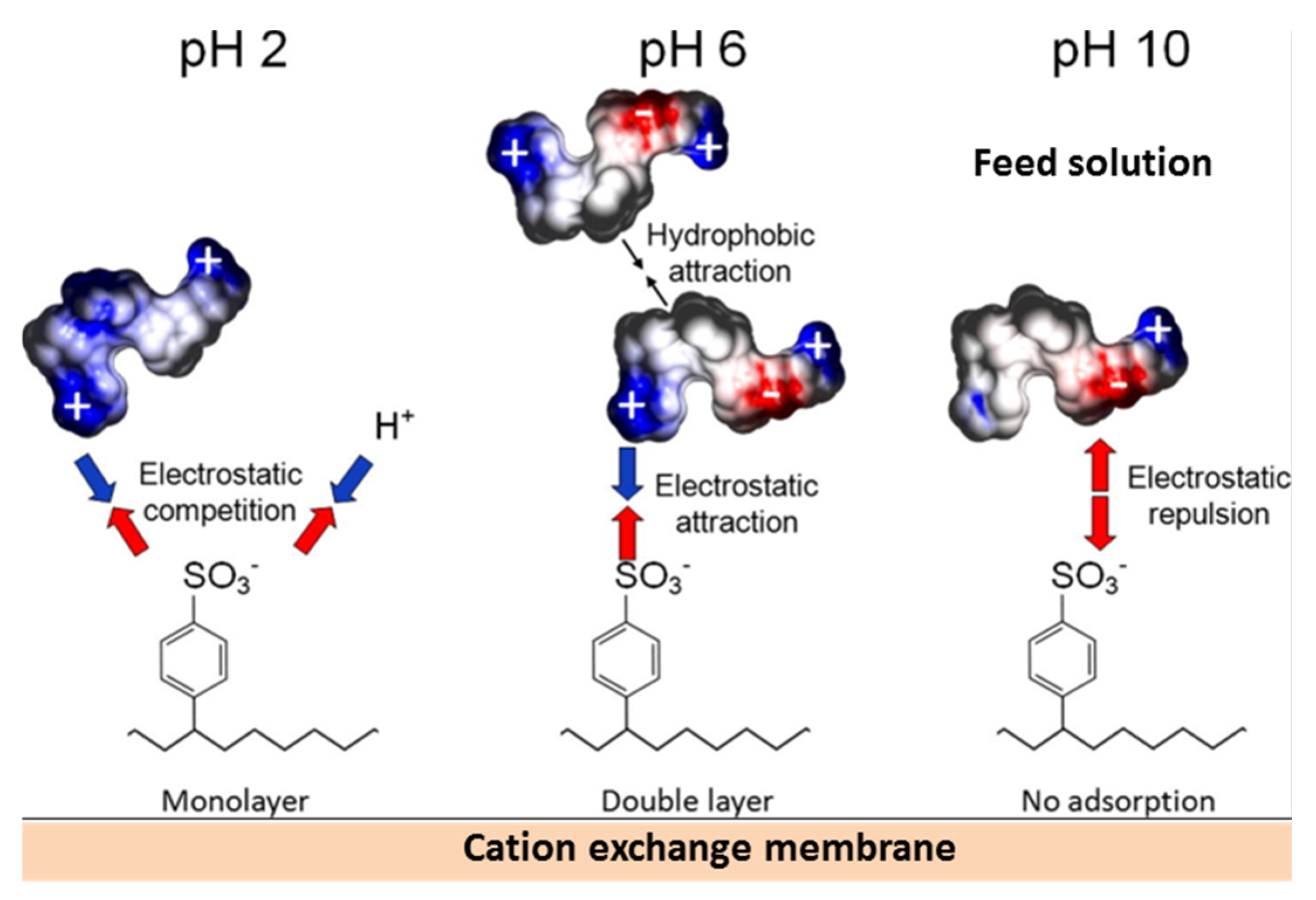 Membranes 11 00789 g024
