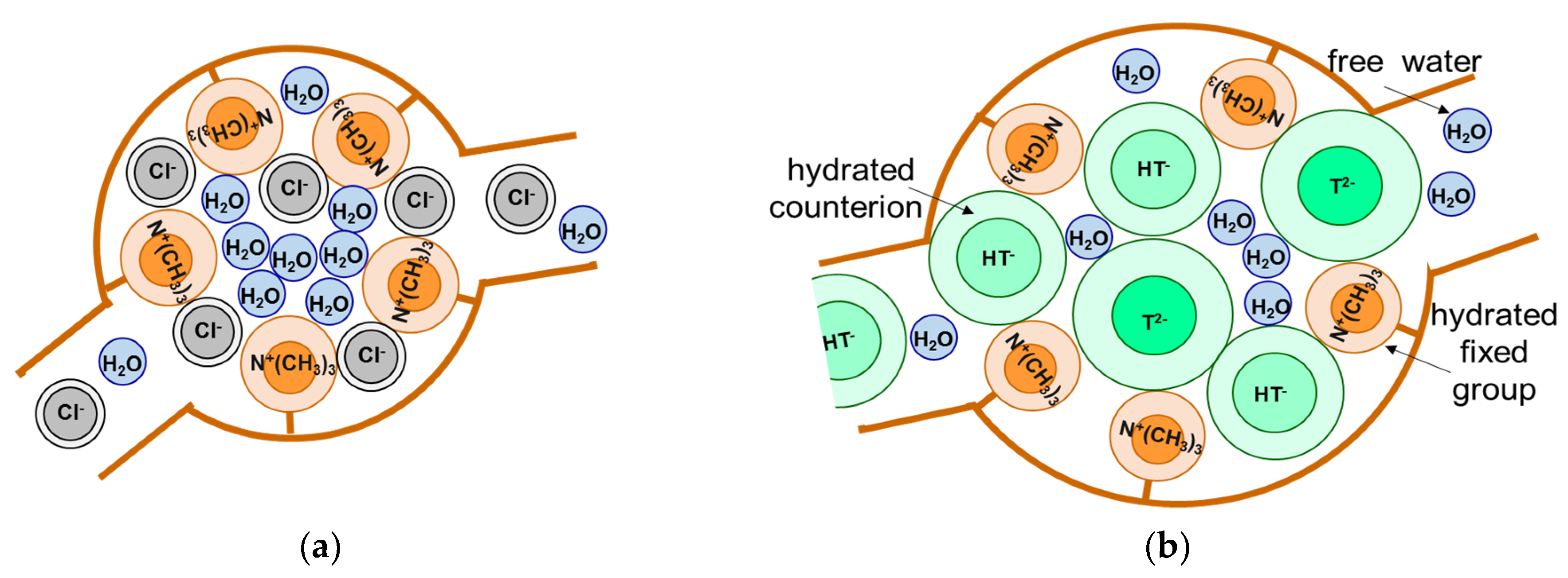 Membranes 11 00789 g027