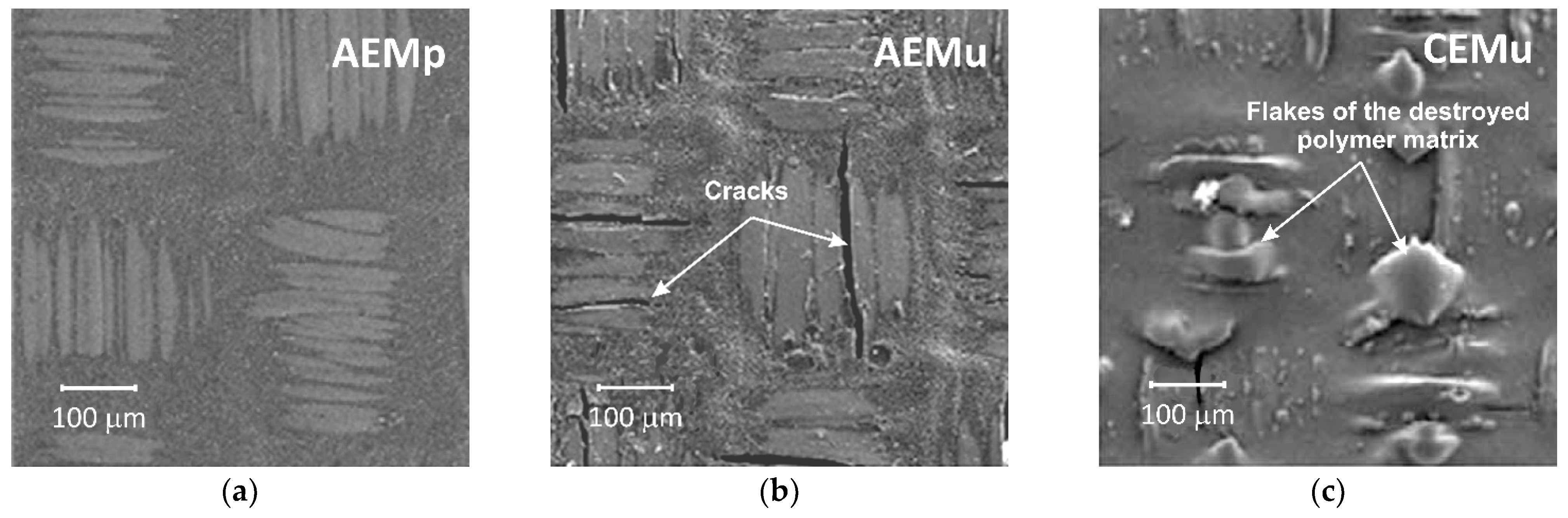 Membranes 11 00789 g028