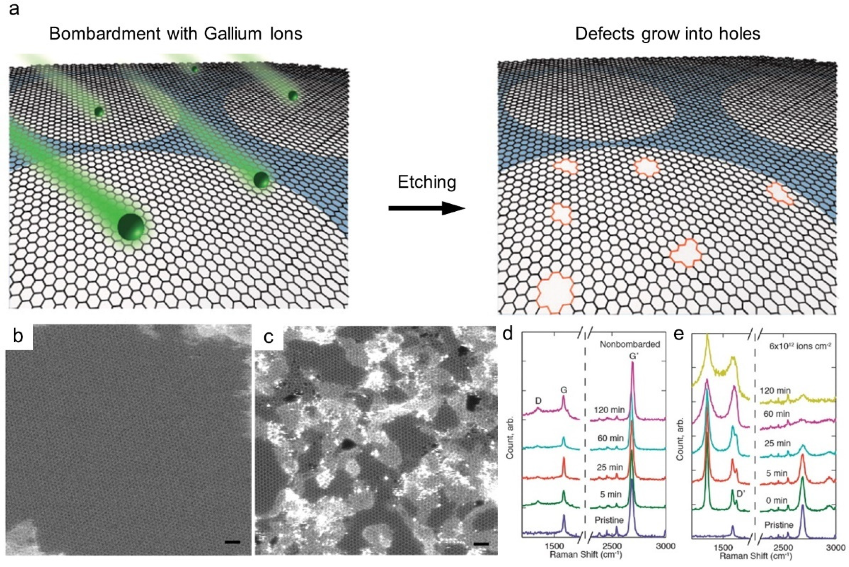 Membranes 11 00793 g002 550