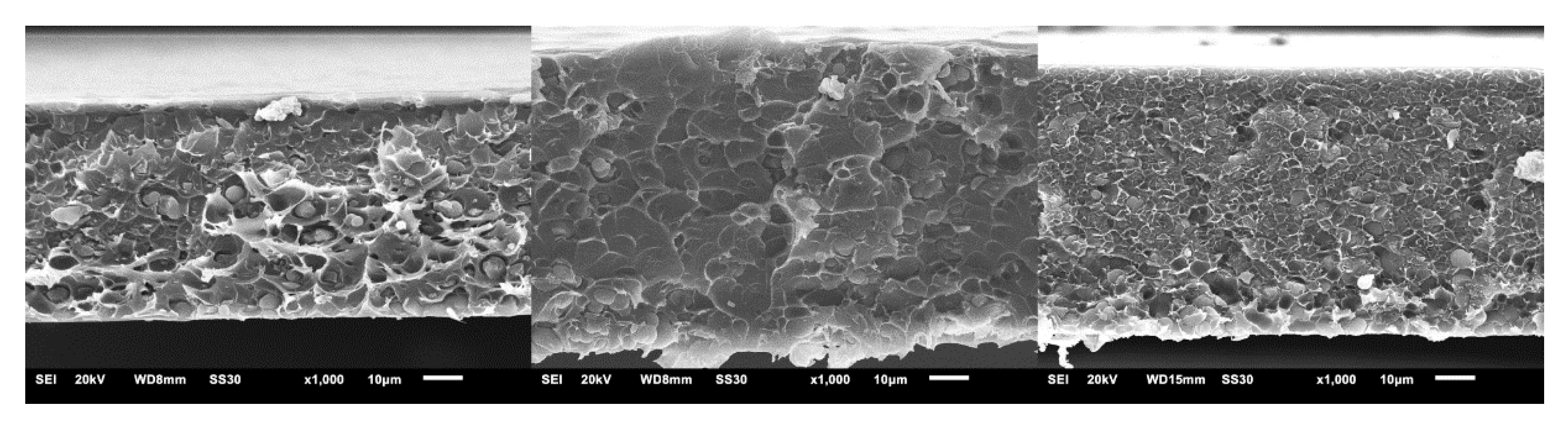 Membranes 11 00795 g001 550