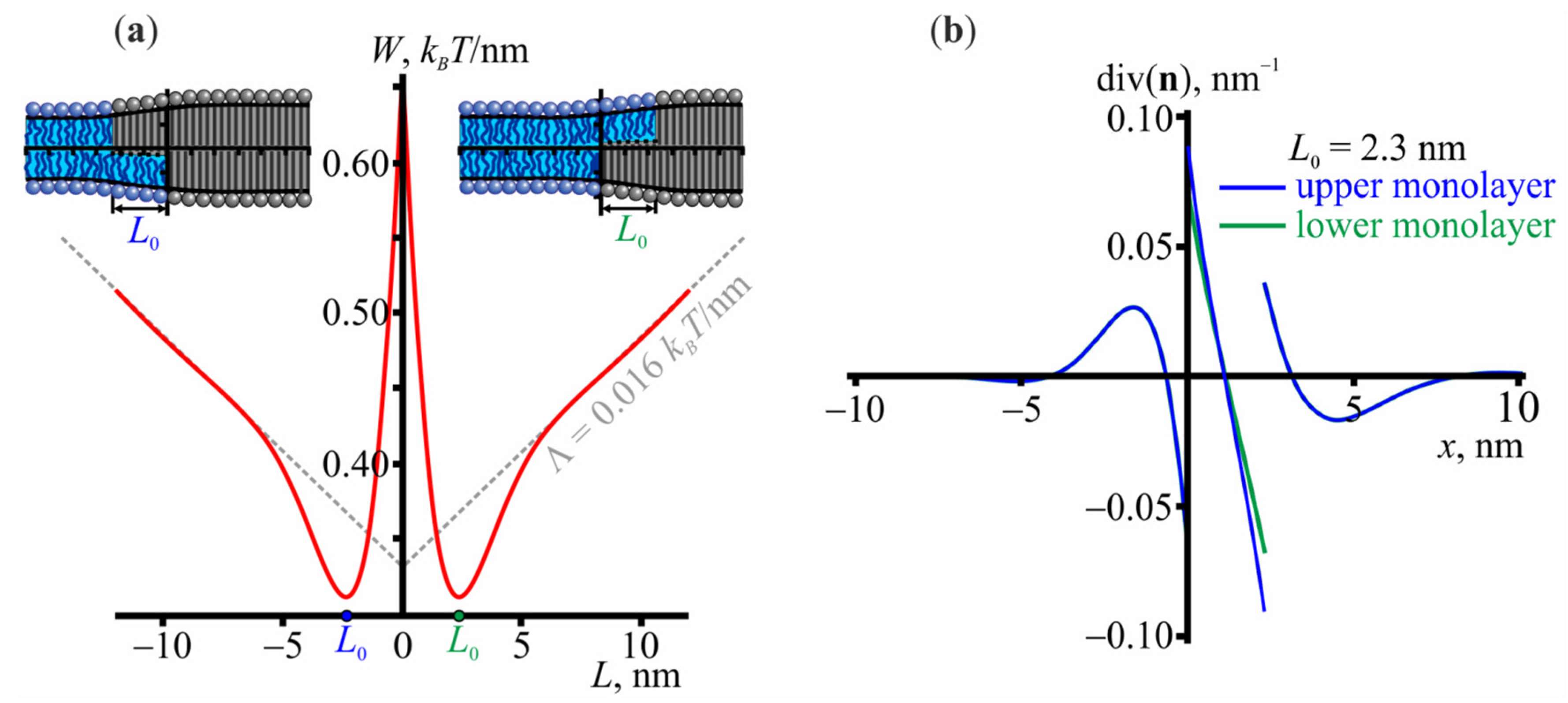 Membranes 11 00797 g001
