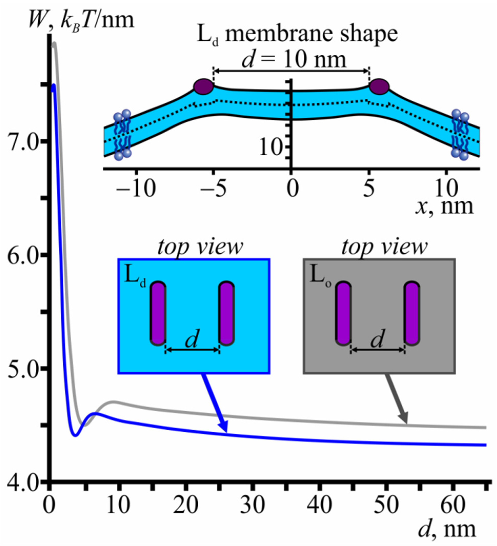 Membranes 11 00797 g003