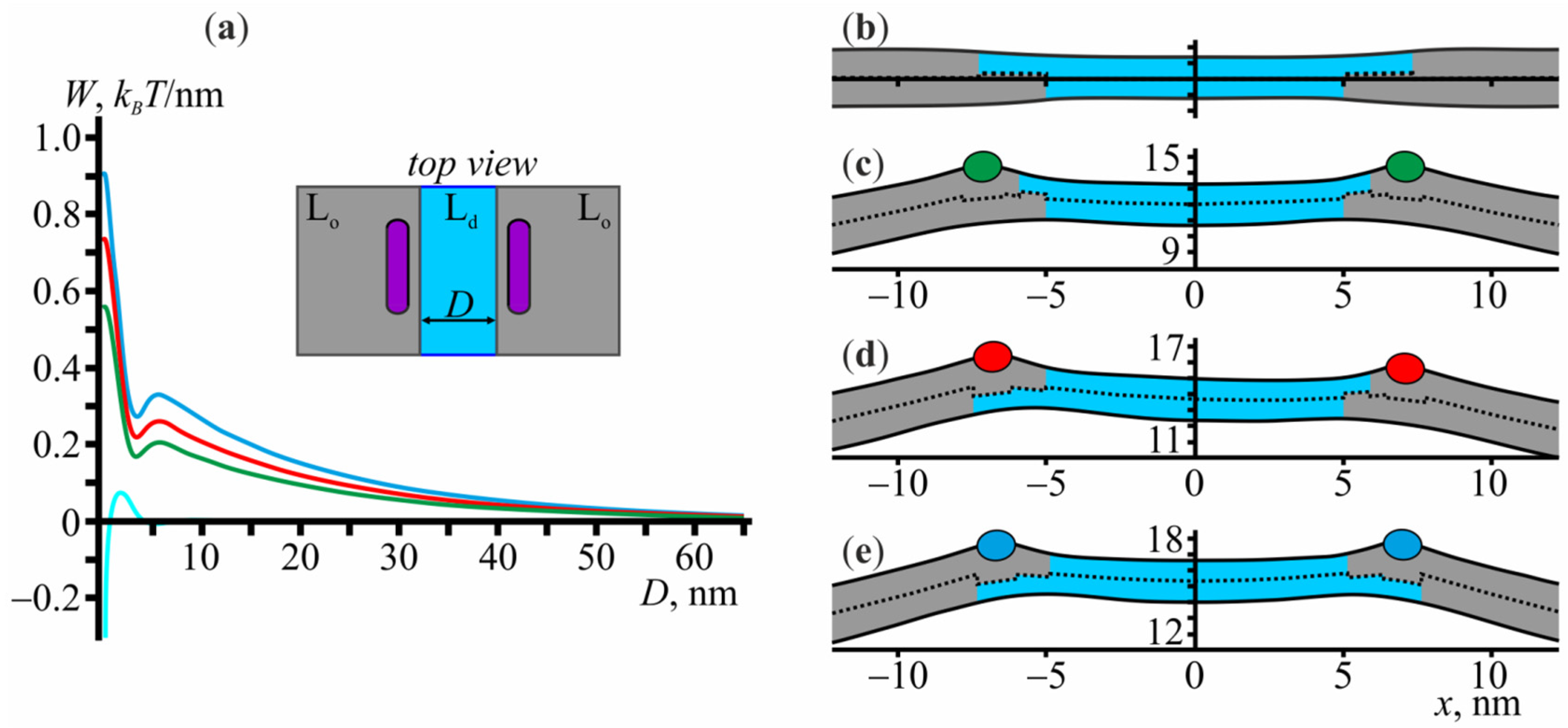 Membranes 11 00797 g004