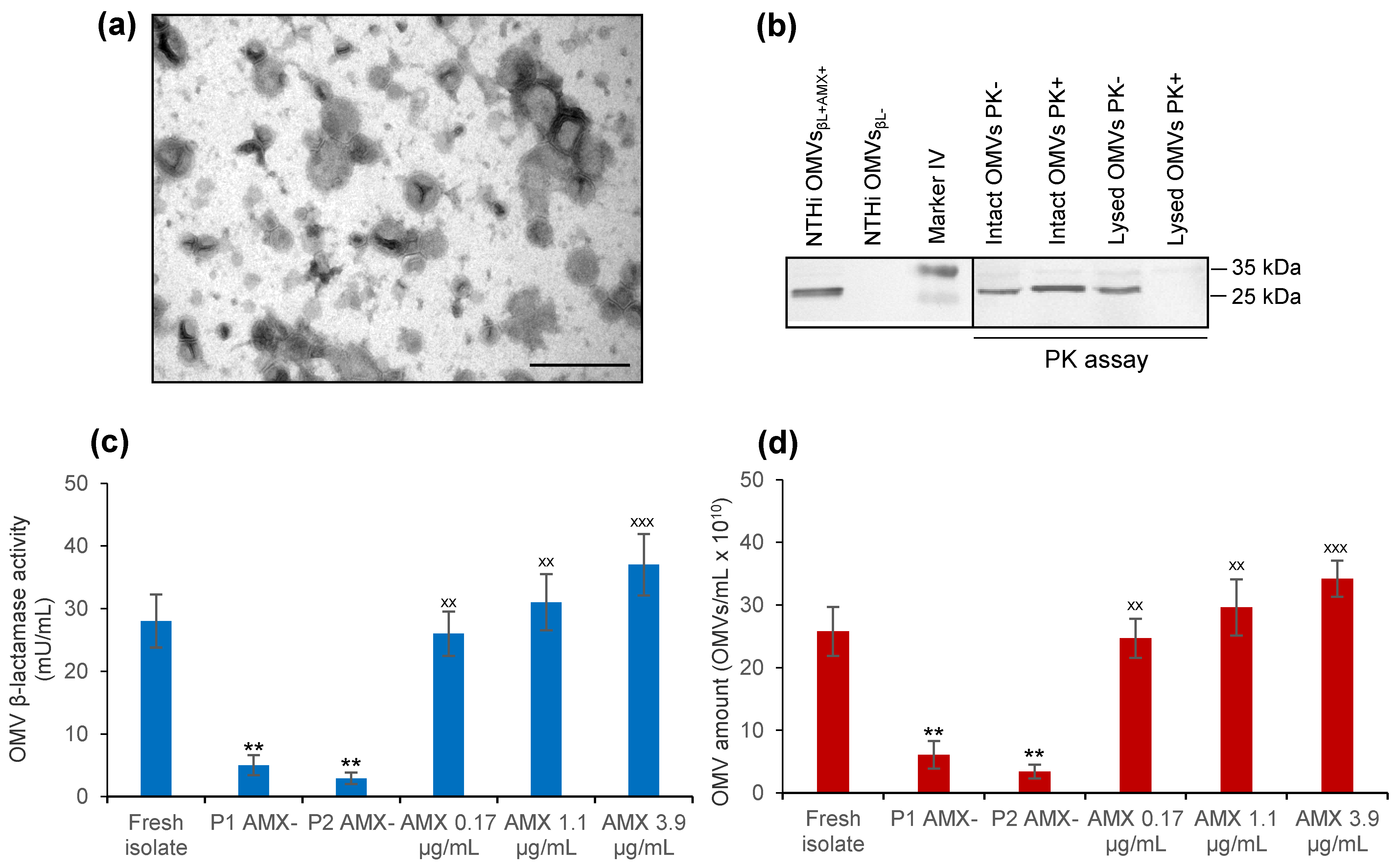Membranes 11 00806 g001
