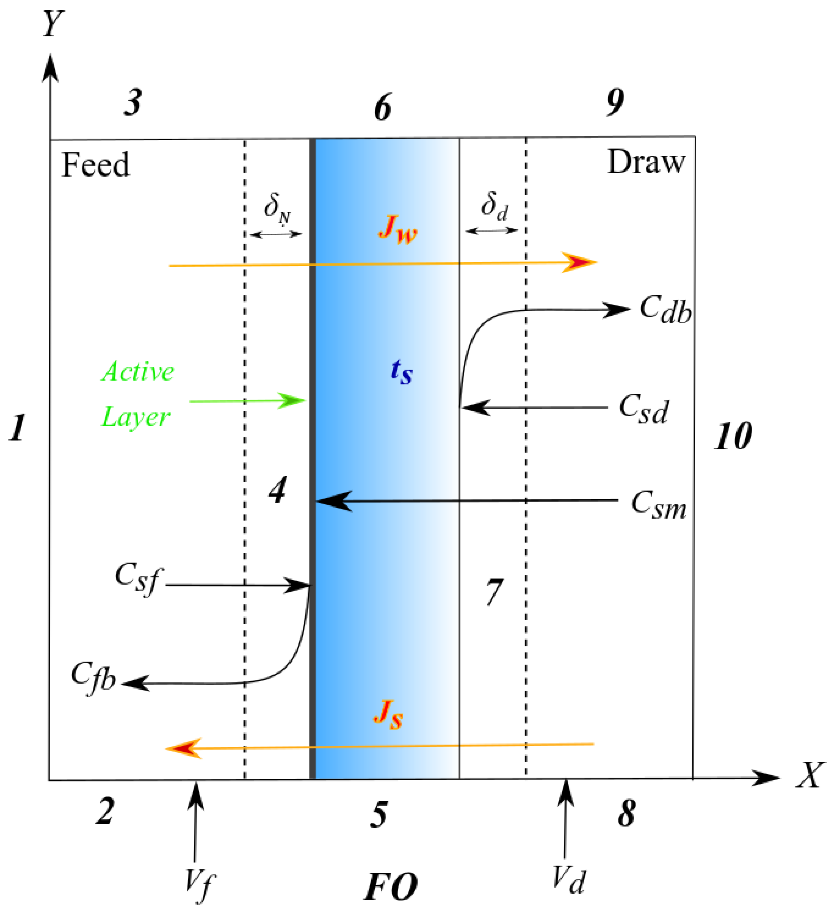 Membranes 11 00813 g003