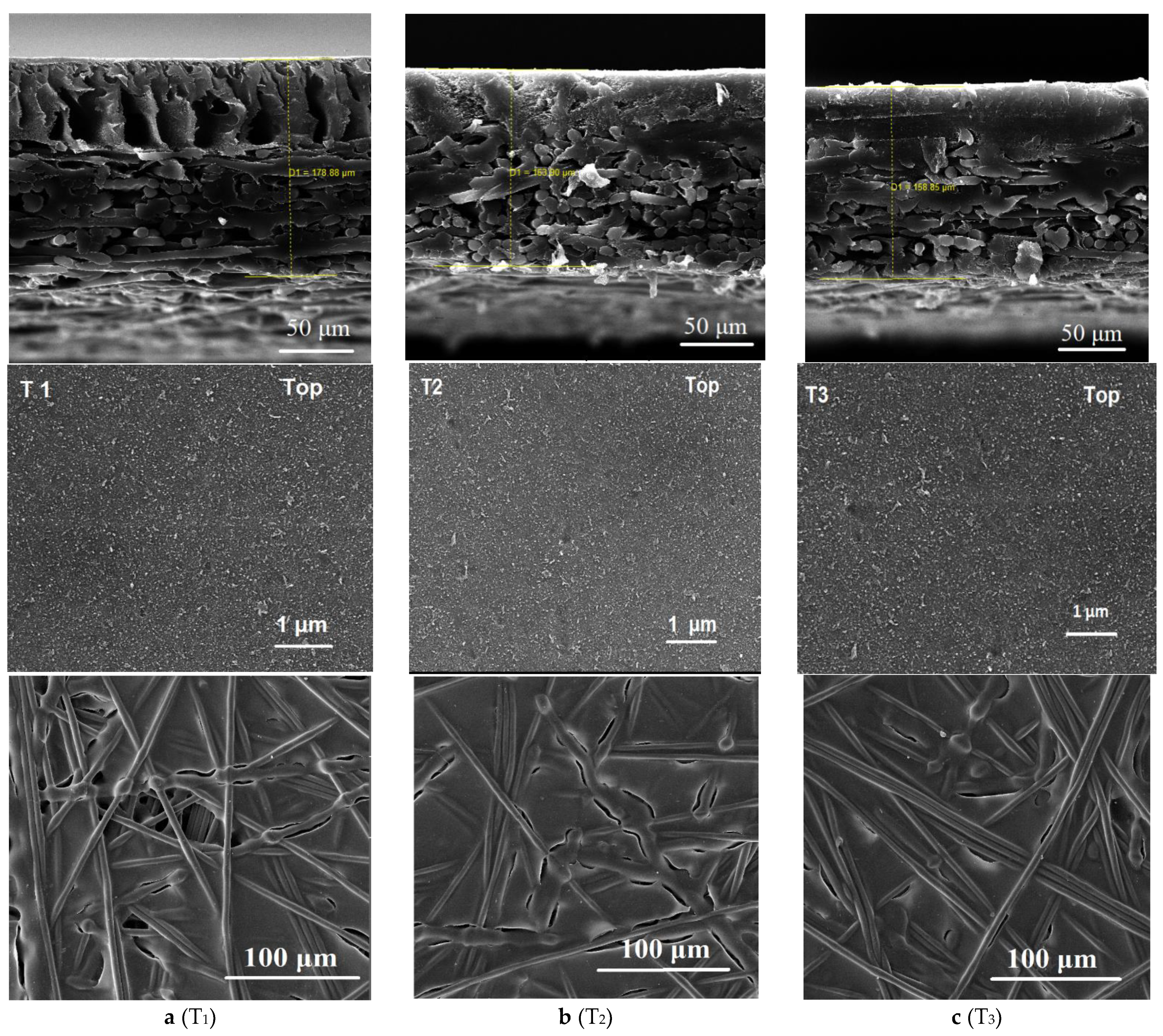 Membranes 11 00813 g004