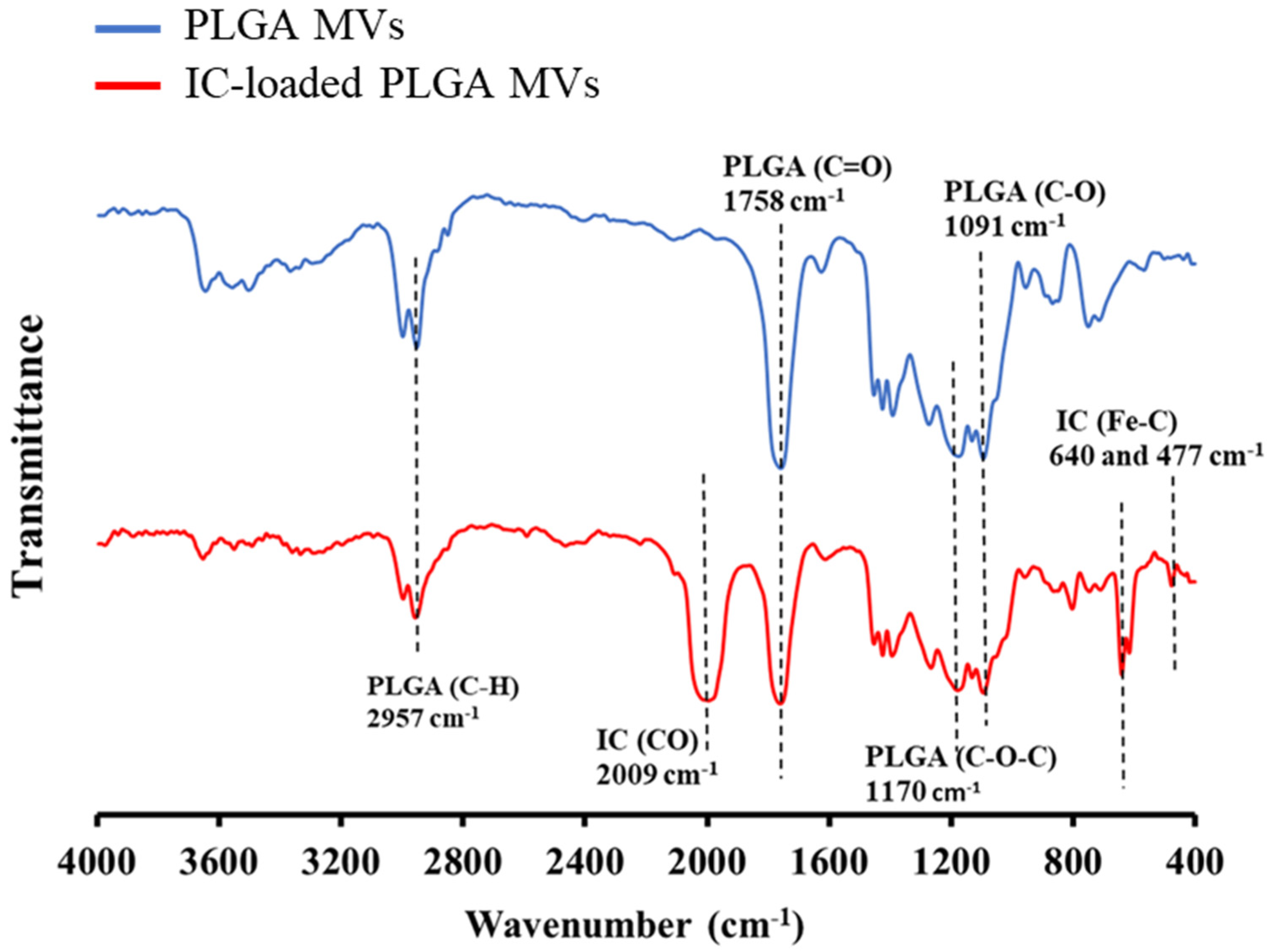 Membranes 11 00818 g005
