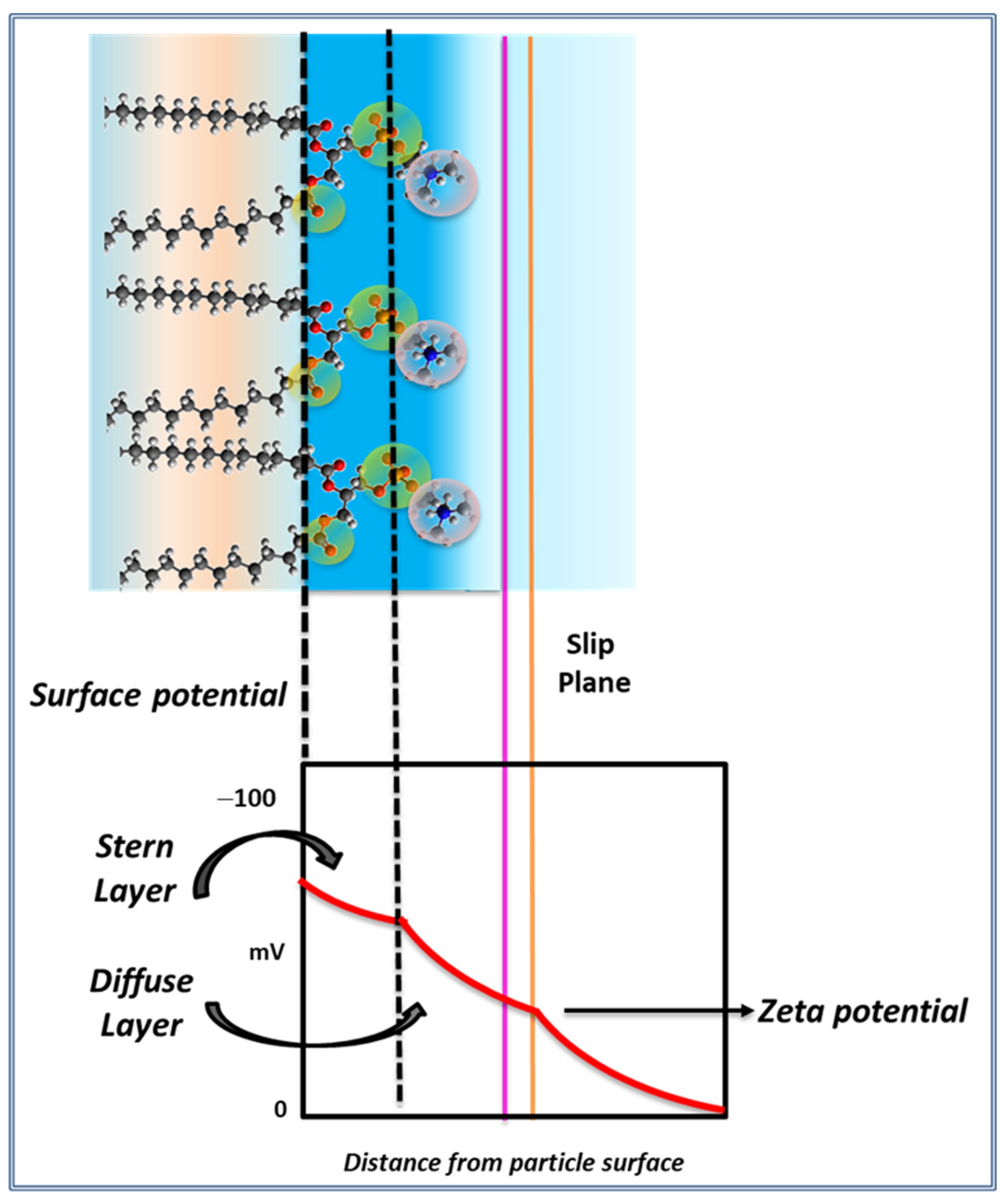 Membranes 11 00821 g002 550