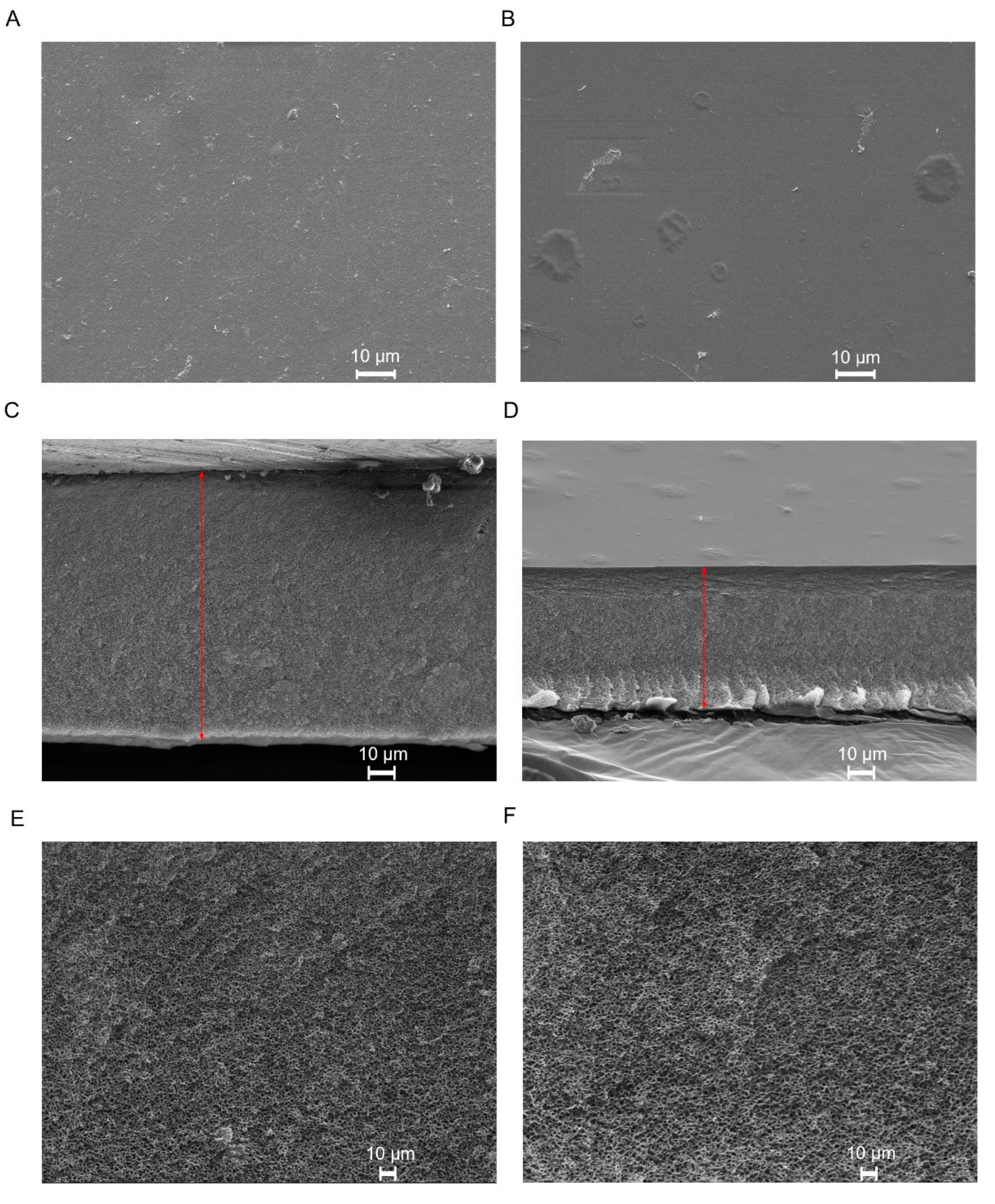 Membranes 11 00825 g004 Membranes 11 00825 g004