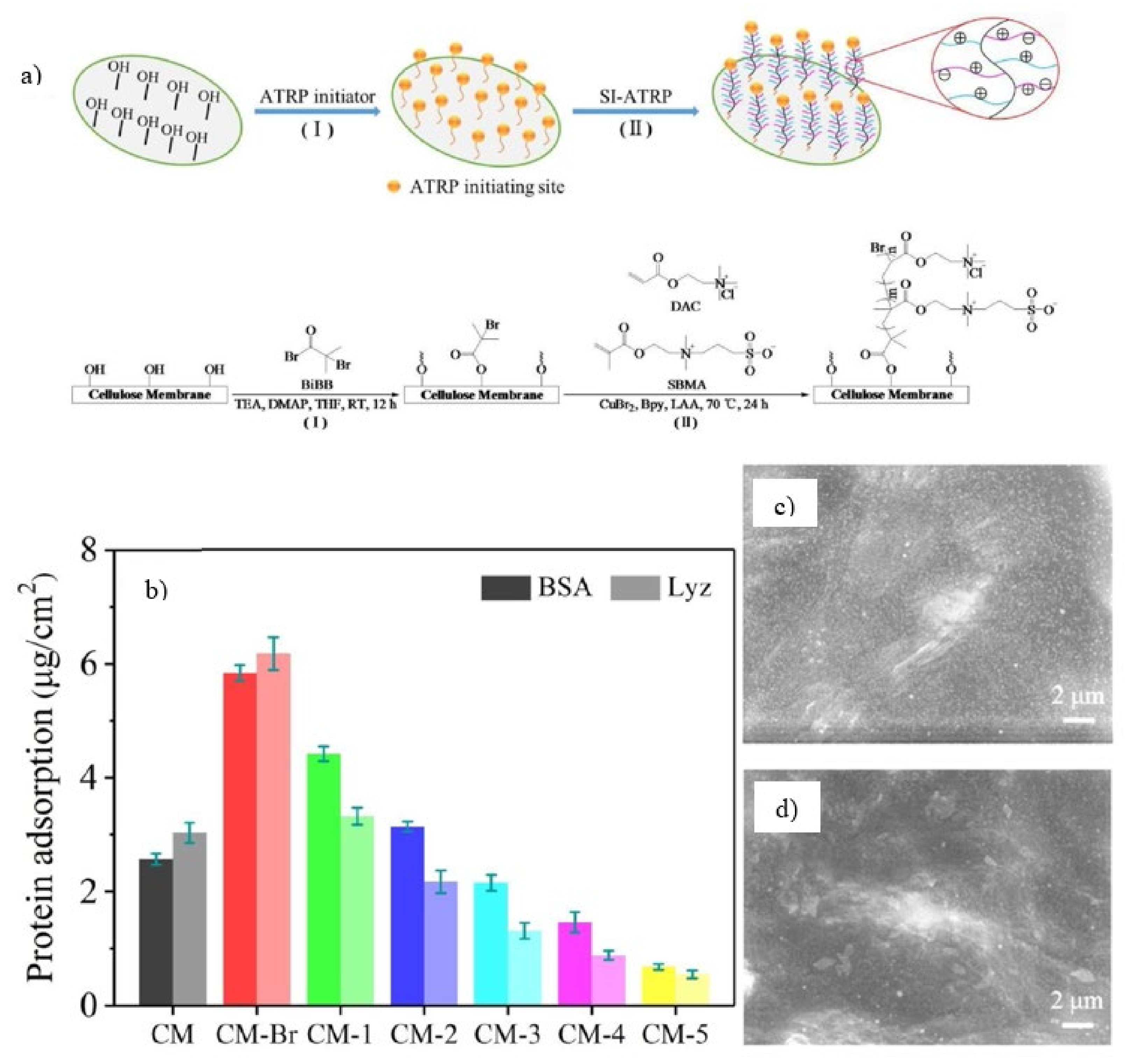 Membranes 11 00832 g007