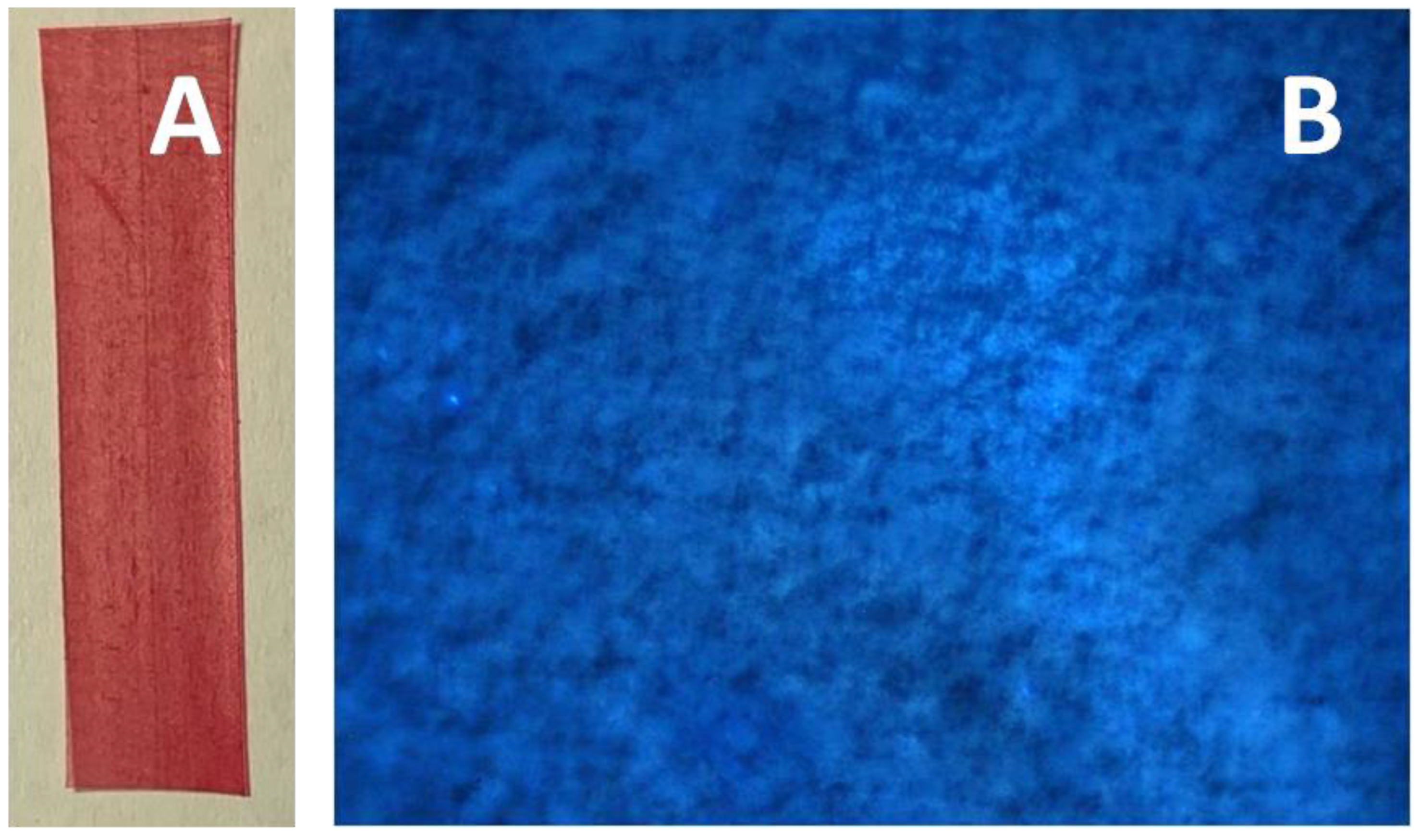 Membranes 11 00834 g003 550