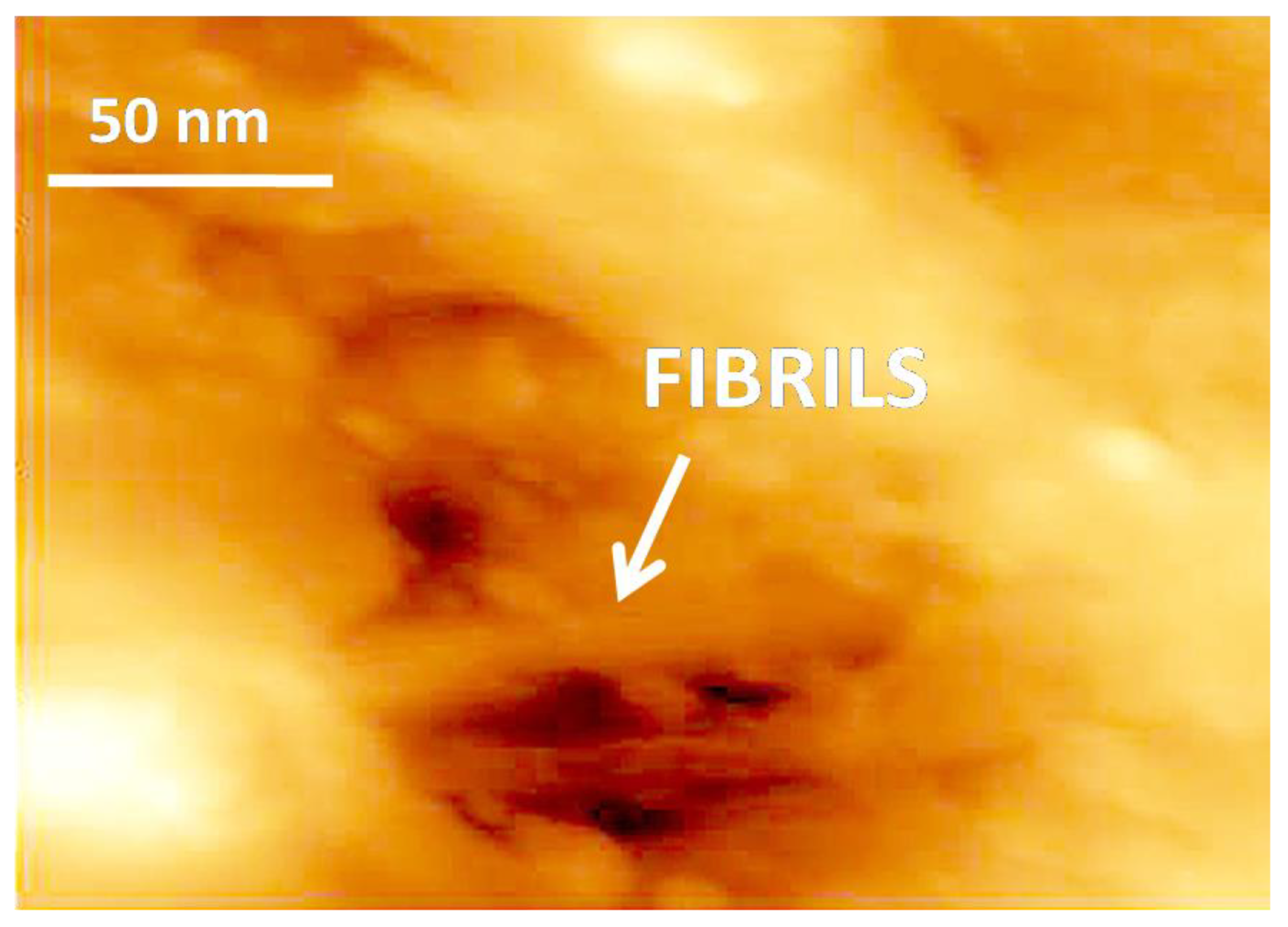 Membranes 11 00834 g005 550