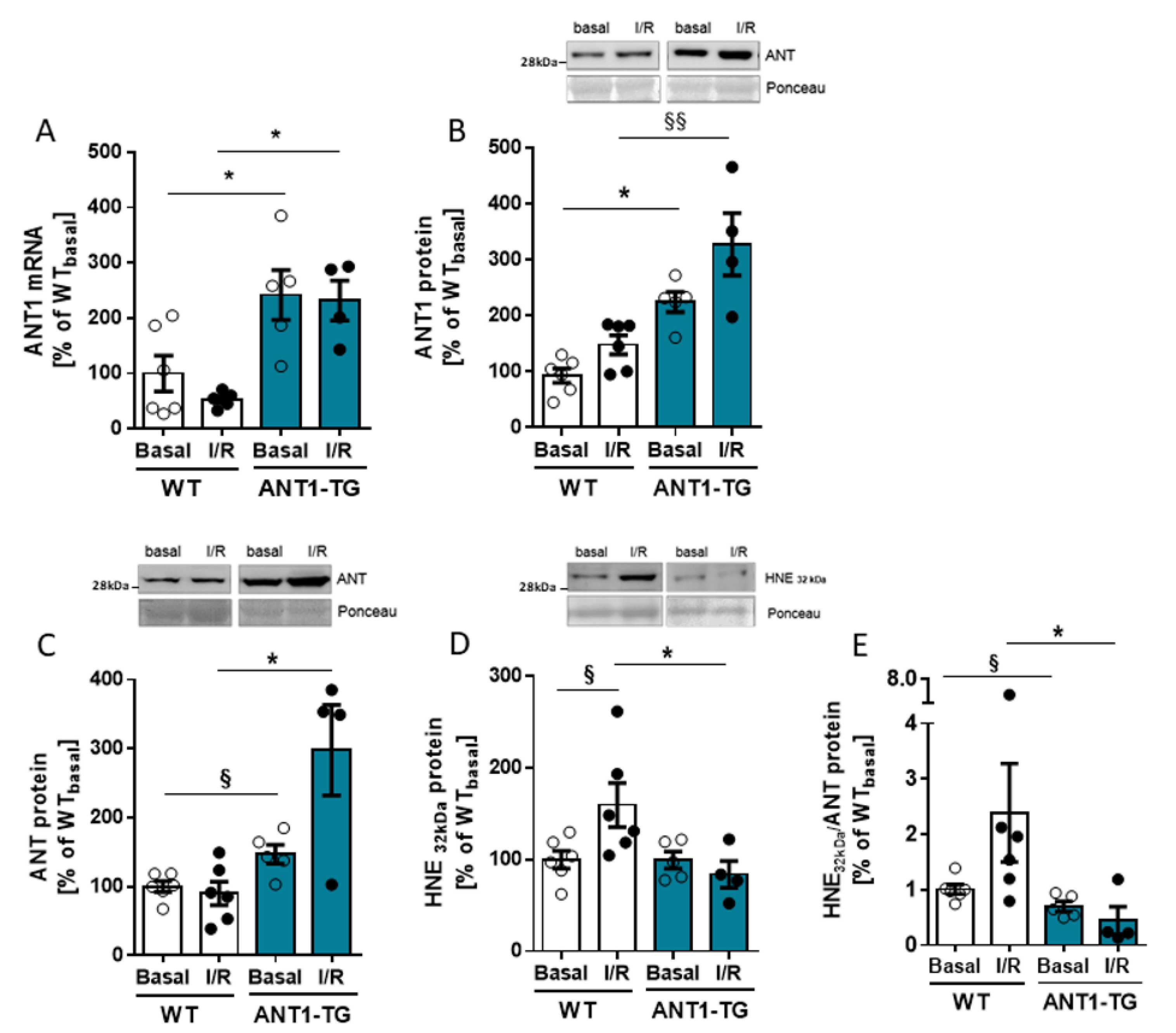 Membranes 11 00836 g001