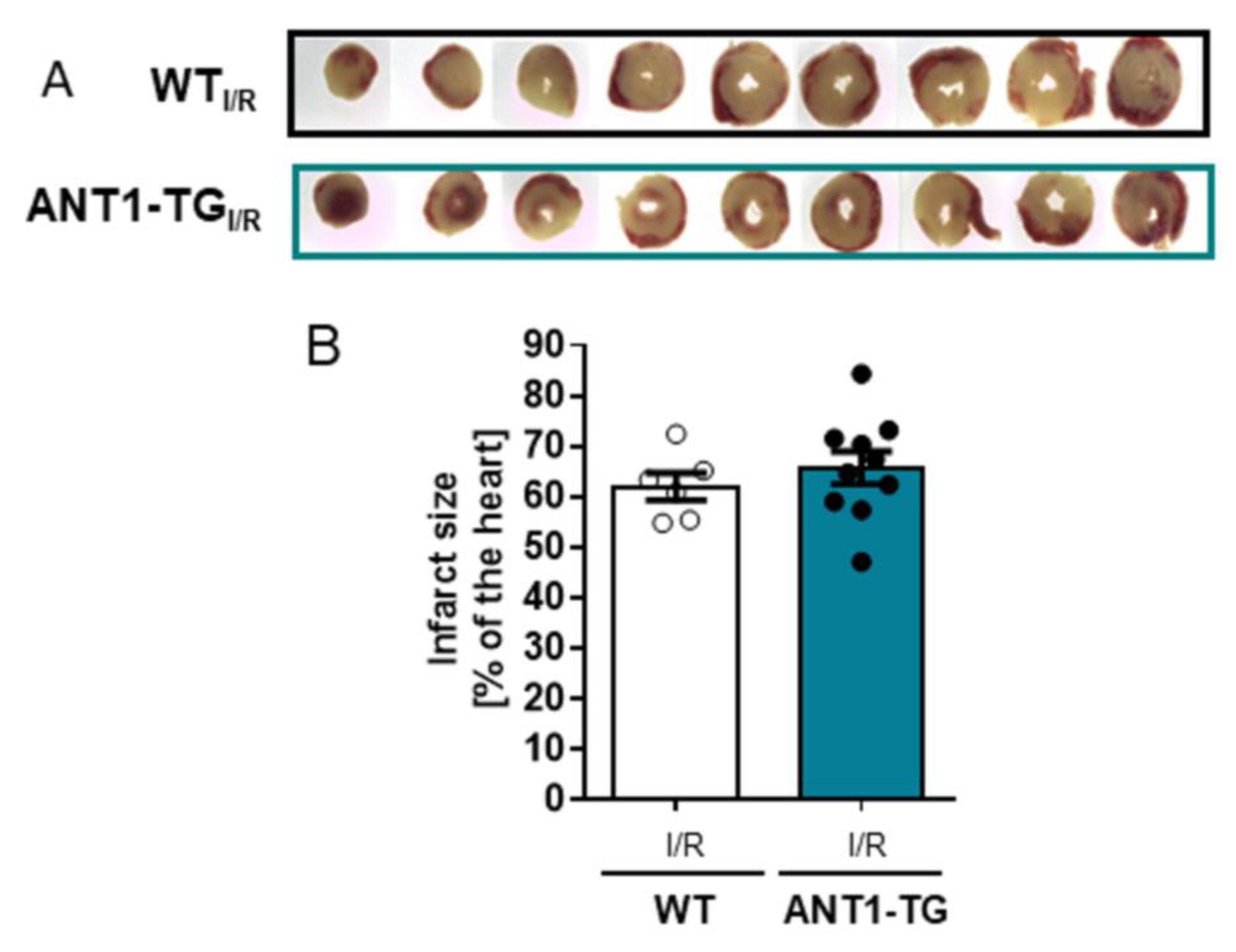 Membranes 11 00836 g004